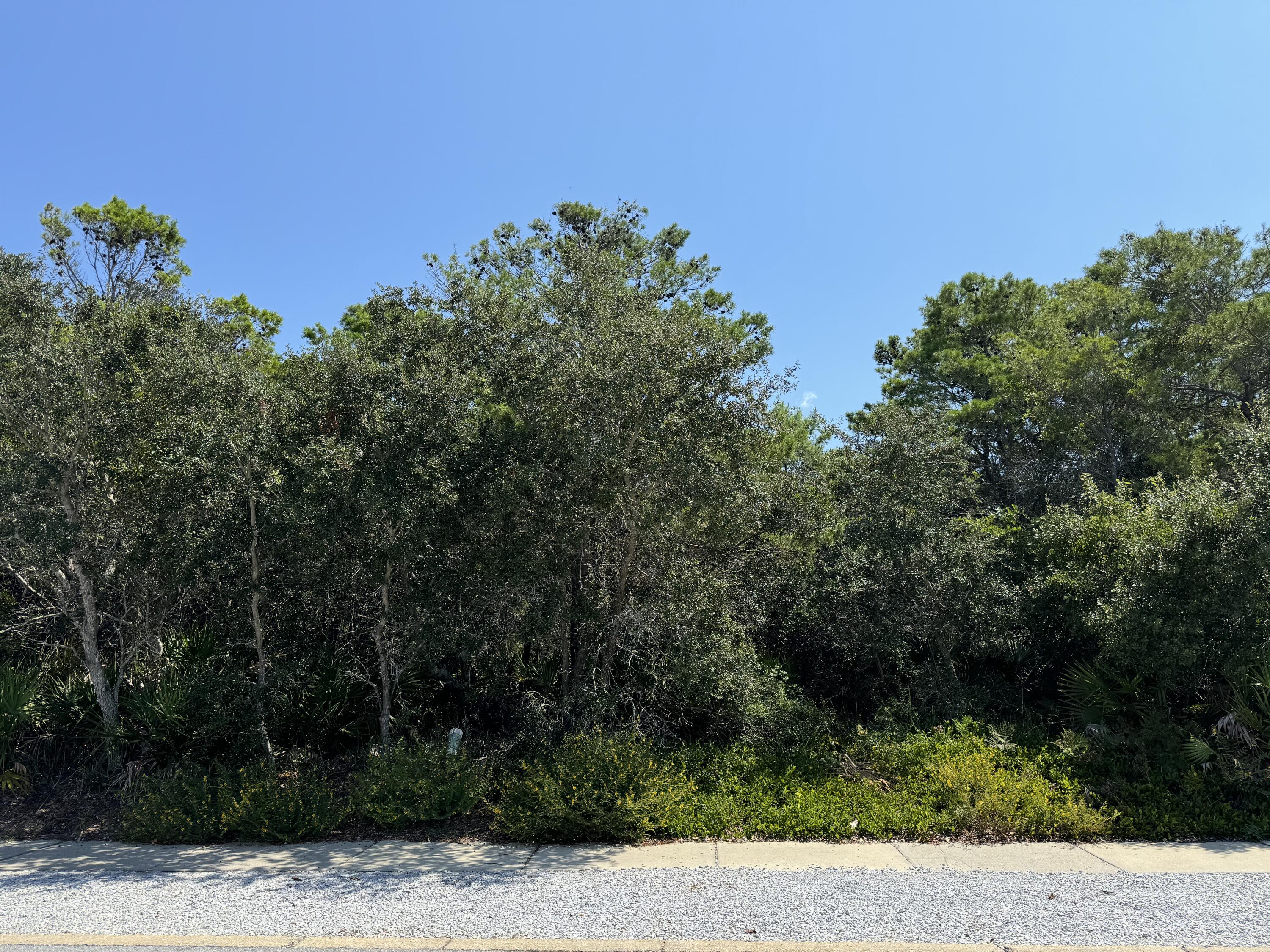 This is one of the few remaining lots in the prestigious beachfront Carillon Beach community.  It is one of the largest lots in Carillon Beach, offering exceptional building opportunities, convenience to downtown Carillon Beach shops and restaurants, and a short walk to the beautifully maintained beach. The additional building verticality allowance on  this lot permits added flexibility in plans and potential view corridors.   This lot, available with an existing set of house plans, previously approved by the Carillon Beach Design Review Board, offers great views of Lake Carillon and, depending on final design, the Gulf.  Pre-existing plans were designed with a main house consisting of two levels (3 bedrooms, 4.5 baths and bunk/activity room sleeping 8), as well as a carriage (guest) house with 2-car garage, enclosed storage area and upstairs studio apartment with balconies.  The lot is ready for construction using existing design plans or Buyer can pursue other design plans for their dream home, with room for a pool, if desired.  Carillon Beach offers many amenities including monitored gated access, 24-hour roaming security, private roads, tennis and pickleball courts, basketball court, playground areas, three (3) community pools and gated beach access.