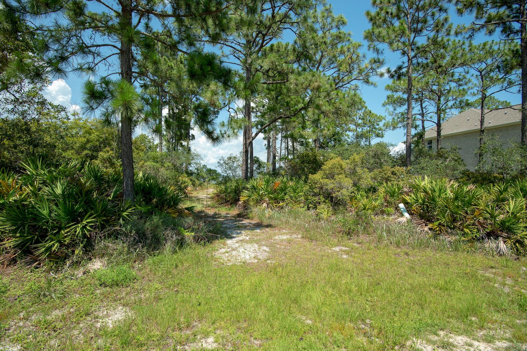 DRIFTWOOD ESTATES - Land