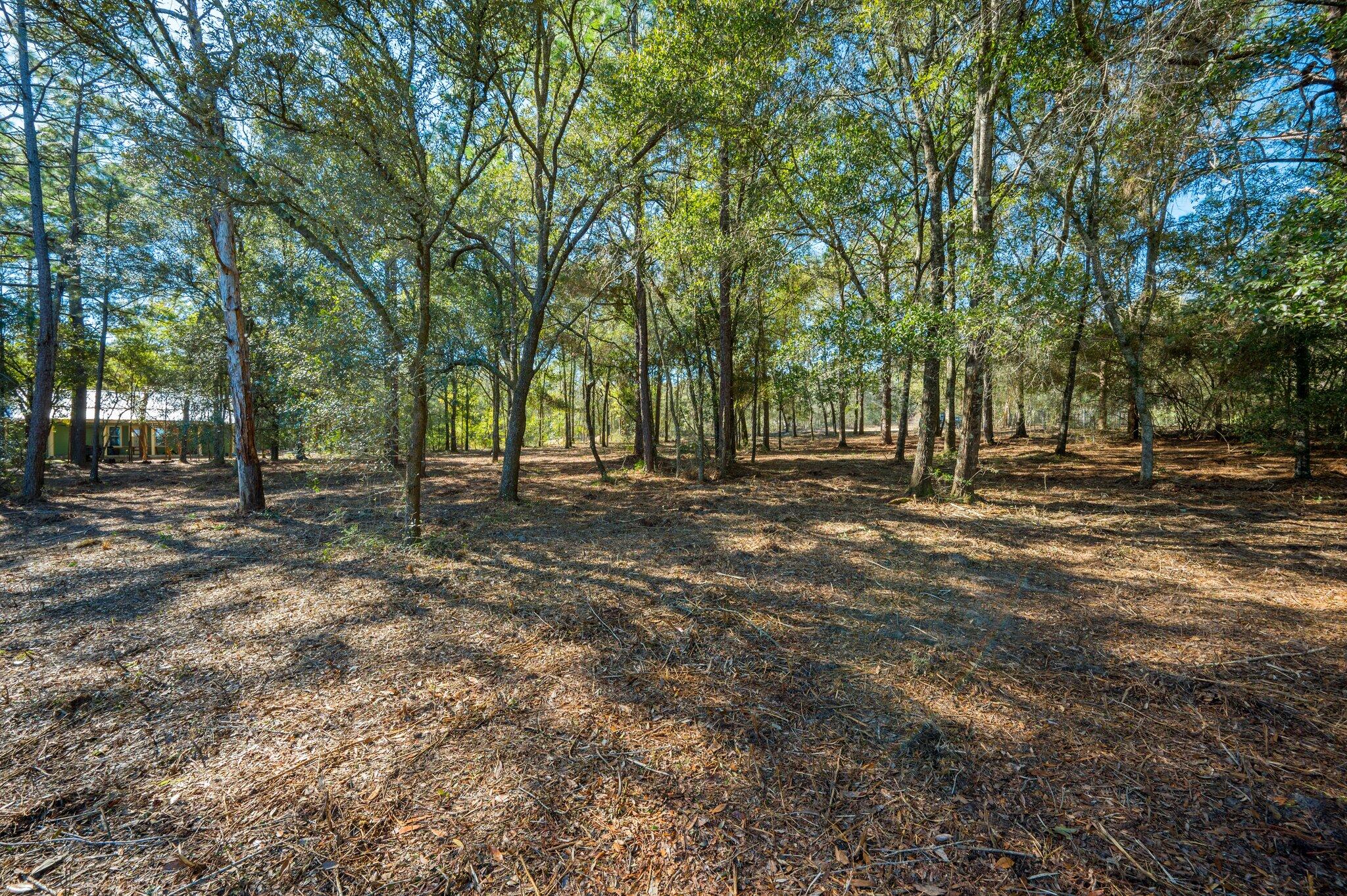 Juniper Lake Estates Unit 6 - Land