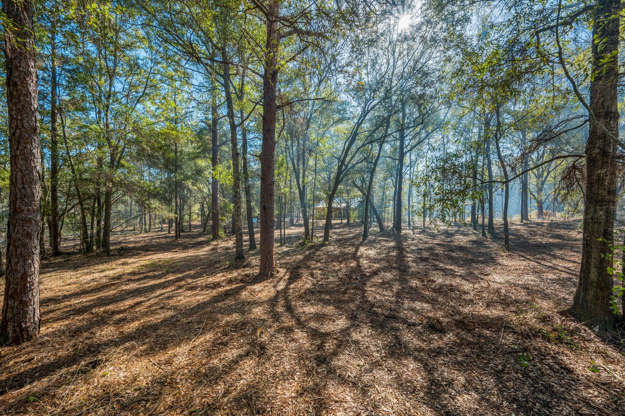 Juniper Lake Estates Unit 6 - Land