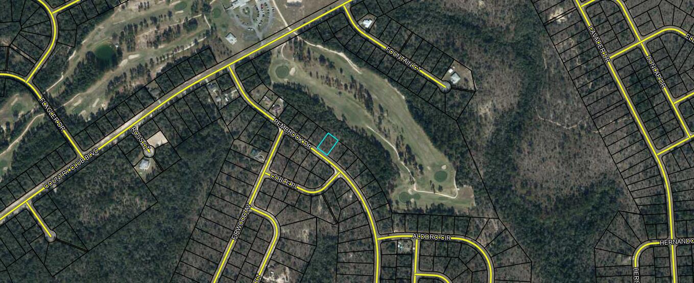 Love Golf? Dream of having a home built near the clubhouse and golf course without paying high HOA fees? This .345 acre lot is perfect for you. Conveniently located in front of the clubhouse entrance on Pembrook. Other than the clubhouse and beautiful Green Golf turf, Sunny Hills offers numerous lakes with white sandy beaches and clear water throughout for recreational activities such as swimming, boating, and fishing, but also provides a short drive, approximately 45 minutes to Panama City beaches when you want to visit a different slice of heaven. Northwest Florida Beaches International Airport, and Pier Park shopping are approximately 45 minutes. Approx. 20 miles from local shopping, medical, and other local amenities in Chipley. LOT IS DIRECTLY ON THE GREEN