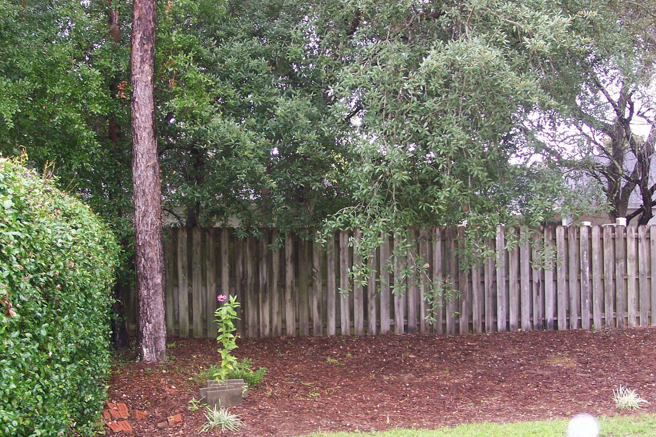 MAGNOLIA VILLAGE - Residential Lease