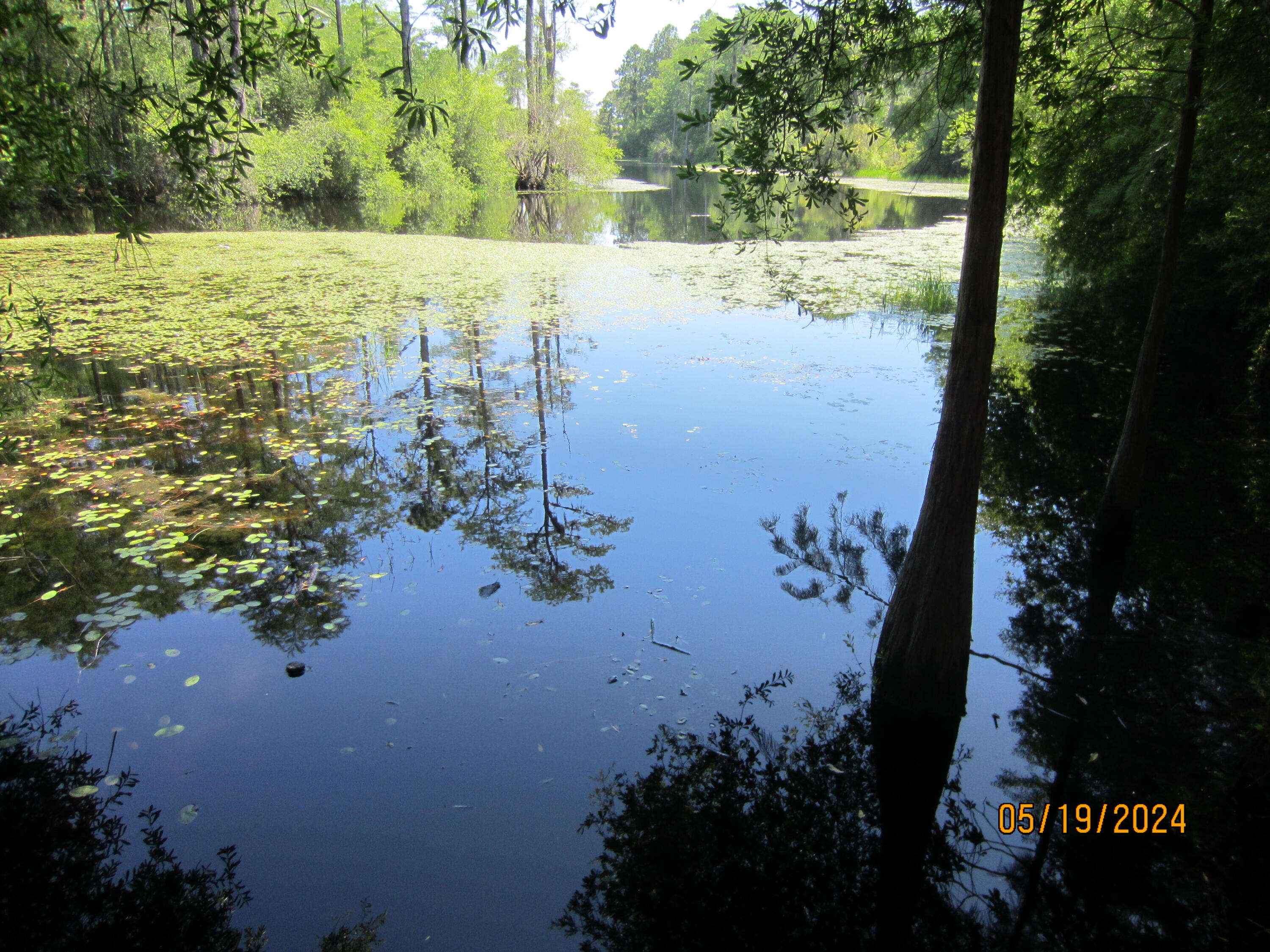 MOTIVATED SELLERS......PRICE REDUCTION Waterfront residential lot located in the Blue Mountain Beach vicinity off Scenic 30A.  This highly desirable location in South Walton is noted for its pristine white sand beaches, quality restaurants, shopping and is a vacation paradise.  This beautiful lot is located on a unique Cypress Lake that has both fish & wildlife. The lot is located on a peaceful and secluded portion of the lake.  Terrific location for that vacation or permanent home.  Ride your Golf Cart or Bicycle to the Beach.  Take advantage of this tremendous opportunity today.  This is your opportunity to have that piece of paradise.  Make that offer today.