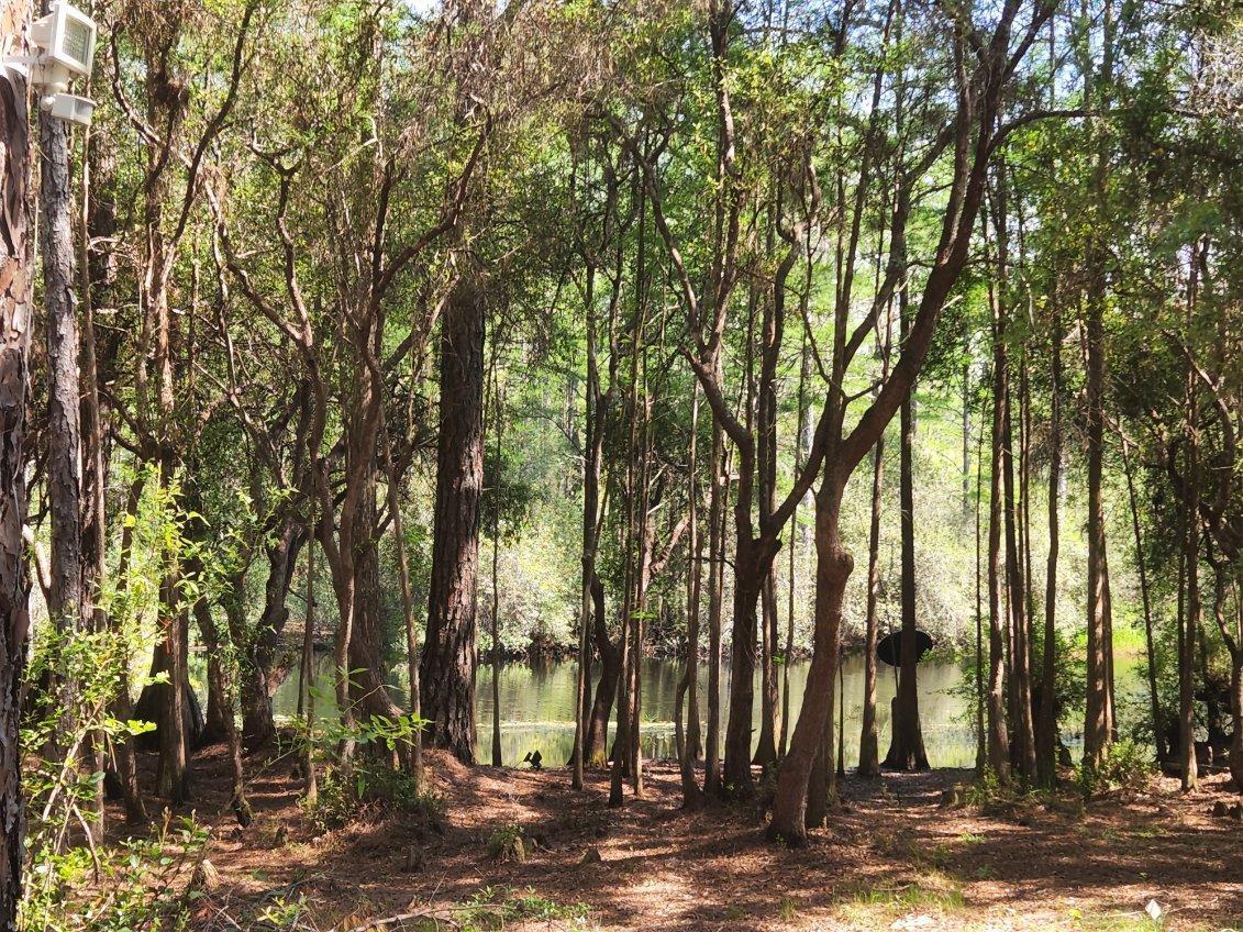 GULF HILLS ESTATES UNREC - Land