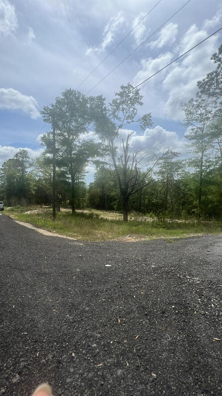 2312-Defuniak S.W - Land