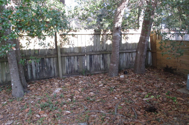 LIVEOAK S/D - Residential Lease