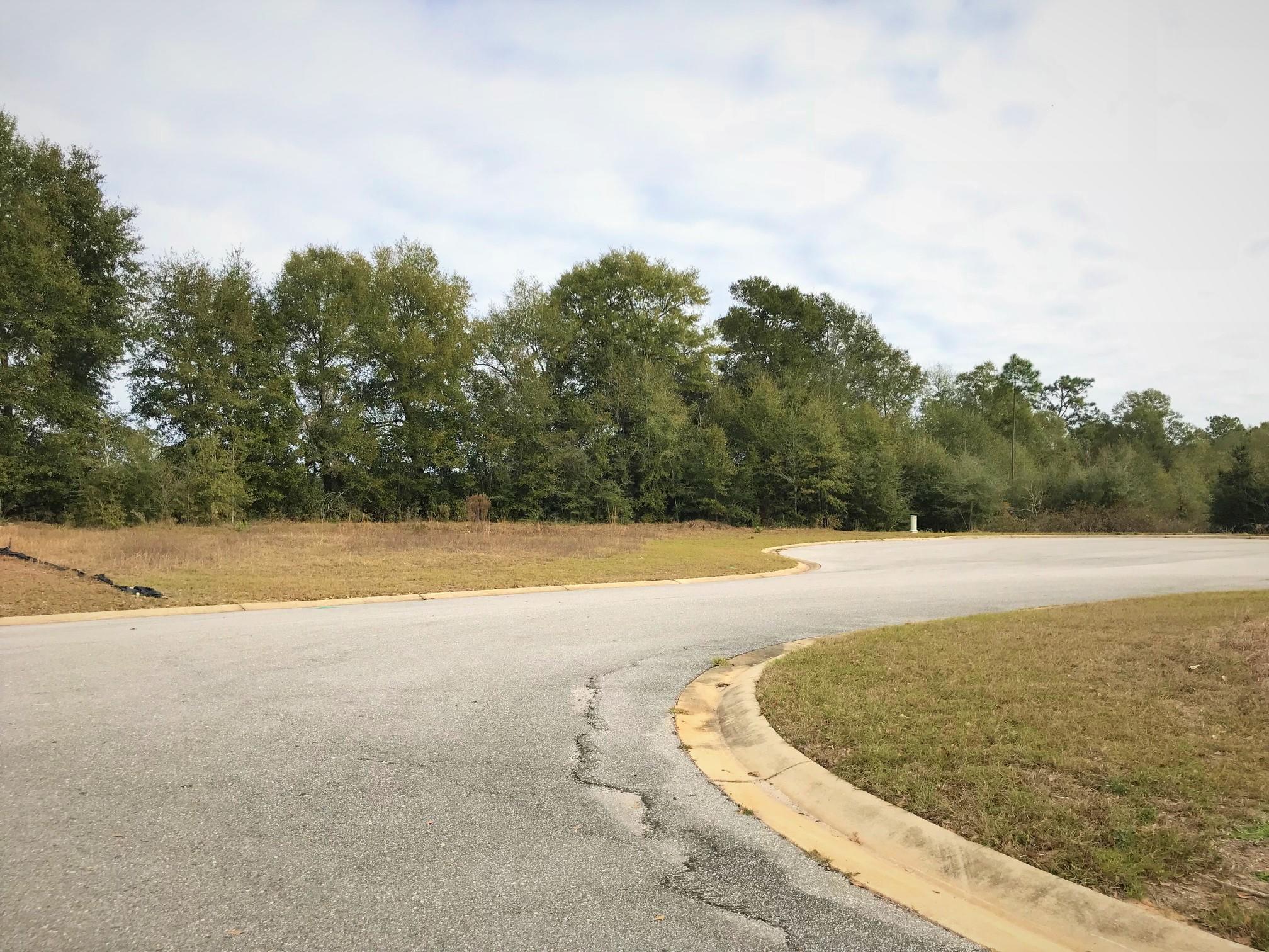 ''REO'' property. Quiet, peaceful lifestyle awaits you at Mossy Oaks Plantation, away from busy traffic, hustle and bustle of city life, yet just 10 min. to I-10 or Crestview. Build your dream home, get most for your money! S/D deeded restrictions & covenants, please call for details. Septic tank required. Existing homes aver. $250-290,000. Other lots available.