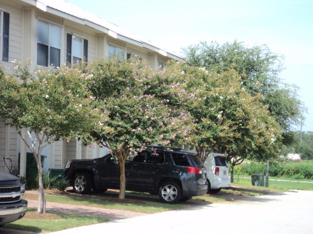 OLD BAY TOWNHOMES - Residential Lease