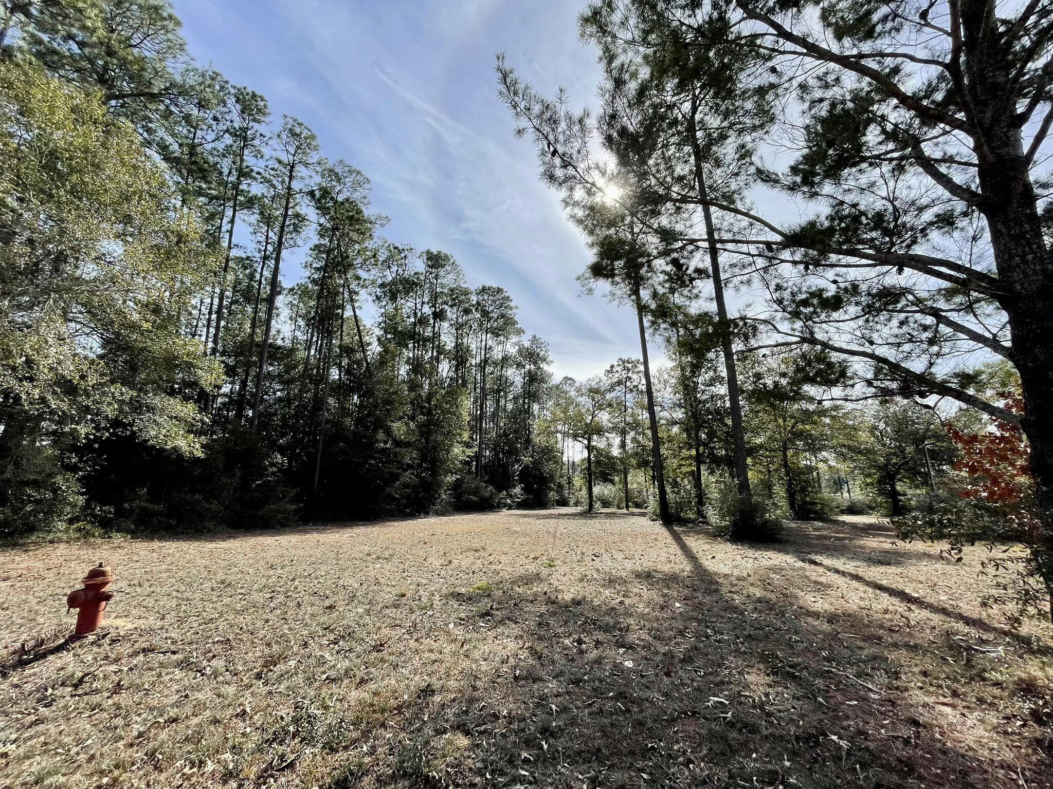 LAKE ROSEMARY ESTATES UNIT 2 - Land