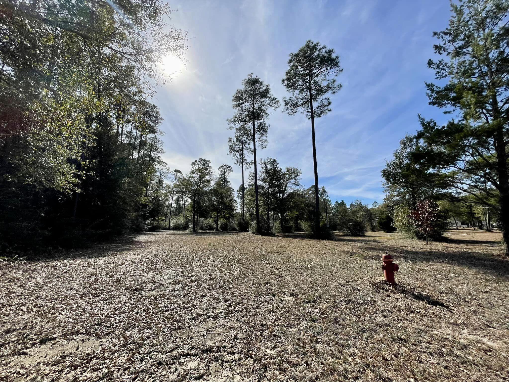 LAKE ROSEMARY ESTATES UNIT 2 - Land
