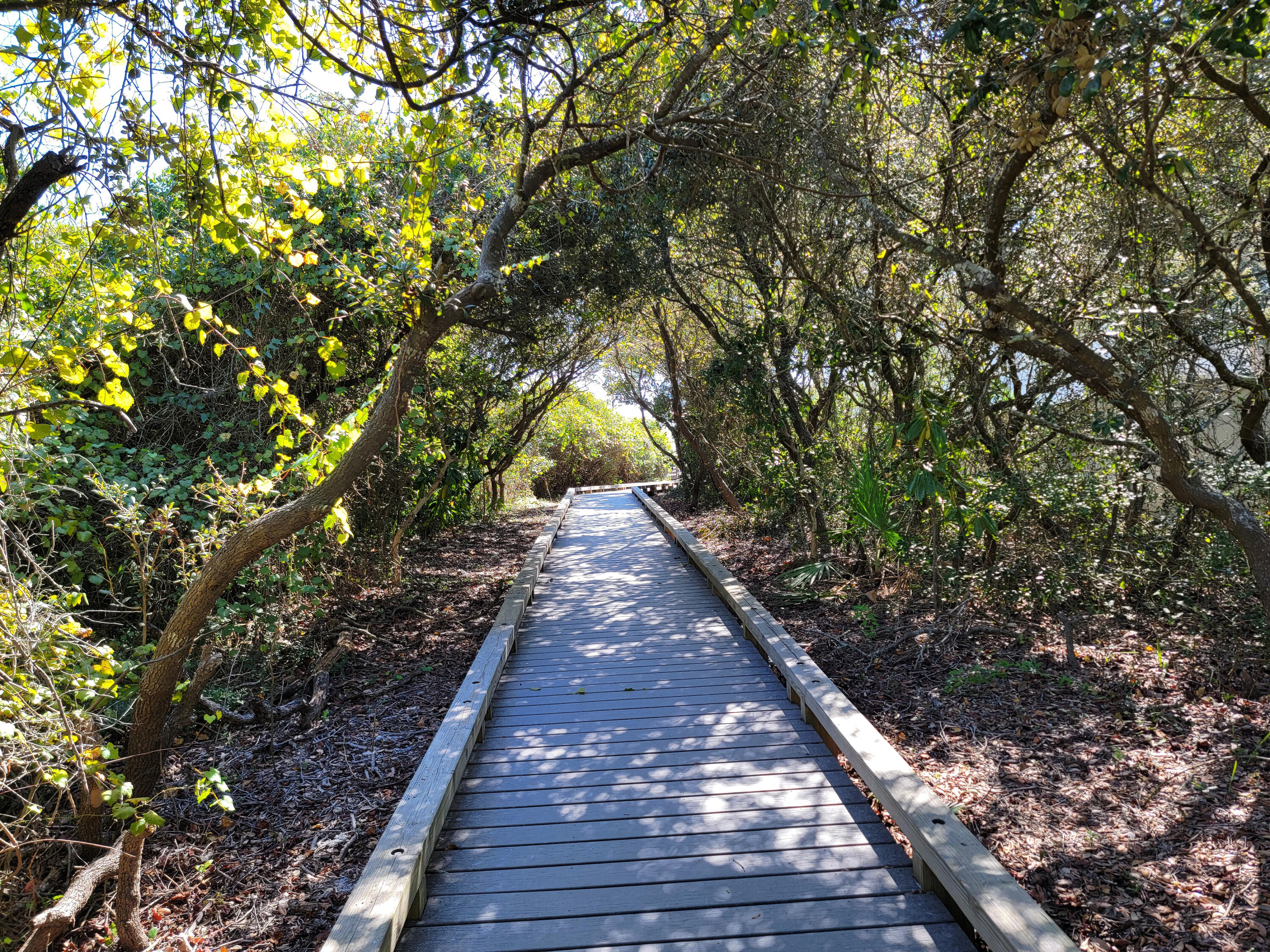 Go To The Beach Office/ Seagrove Beach - Residential