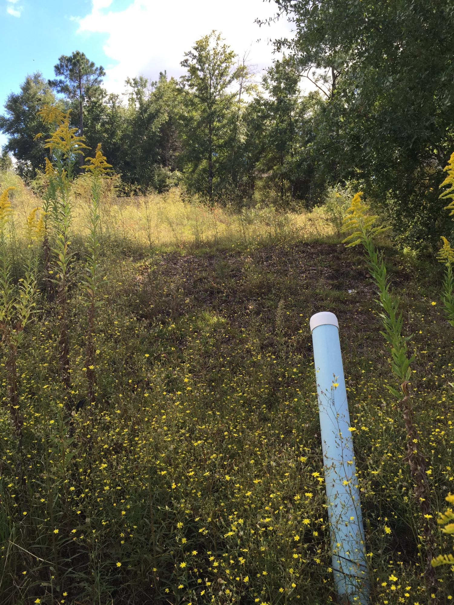 FOX VALLEY PH 3-A - Land