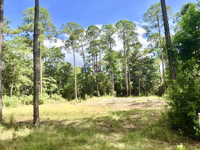 These are 2 side by side beautiful and very private lots in lovely Point Washington one road back from the Choctawhatchee Bay. Once the lot in front of them is cleared, these lots will have great potential for big bay views. Septic tank and drain field are already in and are permitted. Both lots are being sold together, and are already nicely cleared, leaving boundary trees and vegetation for privacy, but could be built on separately. The beach and boat launch into the bay are right at the end of the street. No HOA or CCRs, and lots of new construction going up. This is a very up and coming neighborhood just minutes from 30A but without the traffic. It's a very quiet, private feeling neighborhood that is starting to boom, but with lots that are still affordable! These are ready to build on If you are needing financing, there is a local bank that has vacant land financing available, please contact list agent for information.