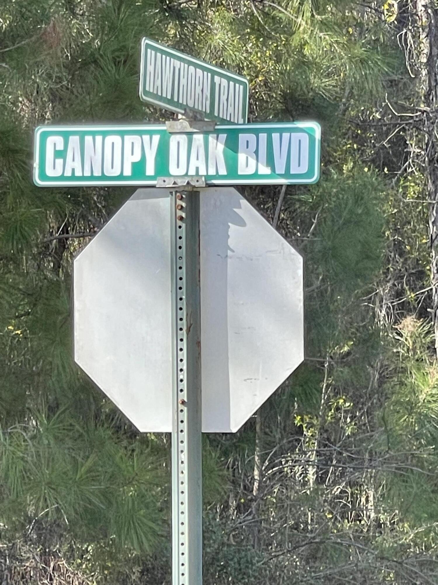 Canopy Crossings - Land