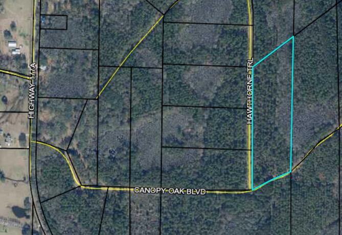 Canopy Crossings - Land