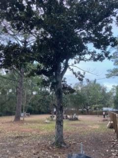 Check out this great .32 acre parcel zoned HCD. Property is accessed by a deeded private dirt road from Hwy 98 and located just 200 feet off of the Northside of Hwy 98.  One mile from Navarre bridge boat ramp and beaches.  Median turning lanes allows for easy access and egress with boats, trailers and equipment.  Many possible business uses available.  The Lot is cleared and contains several mature oaks, pines, a magnolia tree, and is fenced in.  Utilities are in place with a 200 amp service pole for electicity, water tap fees are paid, and city sewer system.  Structures and sheds convey with property and contain no value.  The owner is also selling the adjacent .25 acre lot and there are other neighboring lots also available for sale for a combined total of 1.13 acres, see MLS #'s 865512, 865514, 865515, 865519
