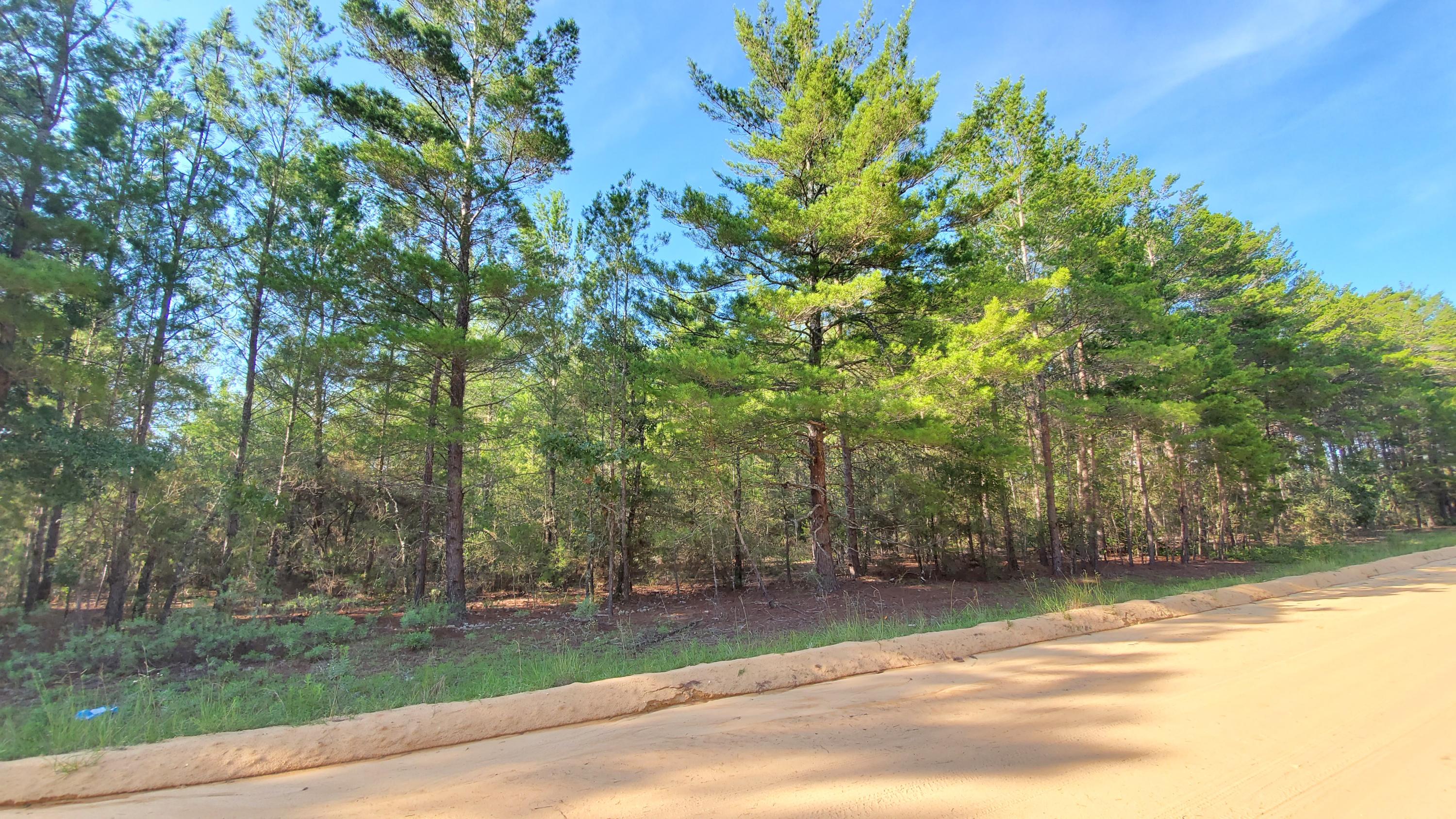 This is the 10 acres that you've been looking for!!  It is so pretty and on a nice, wide, quiet county-maintained road!  Definitely plan take a look at this one, ASAP!!  Crestview address, but located in North Walton County (where county millage rate is a little lower, which means taxes are a little lower, too).  Mossy Head Water Works is available on Coyote Rd.