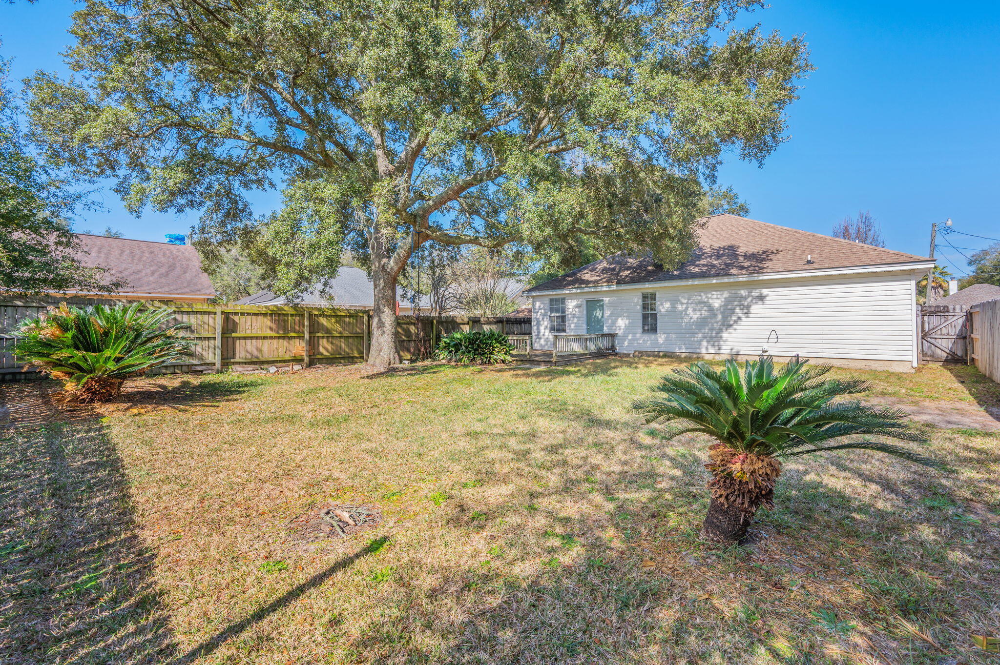 SUMMER TREE - Residential