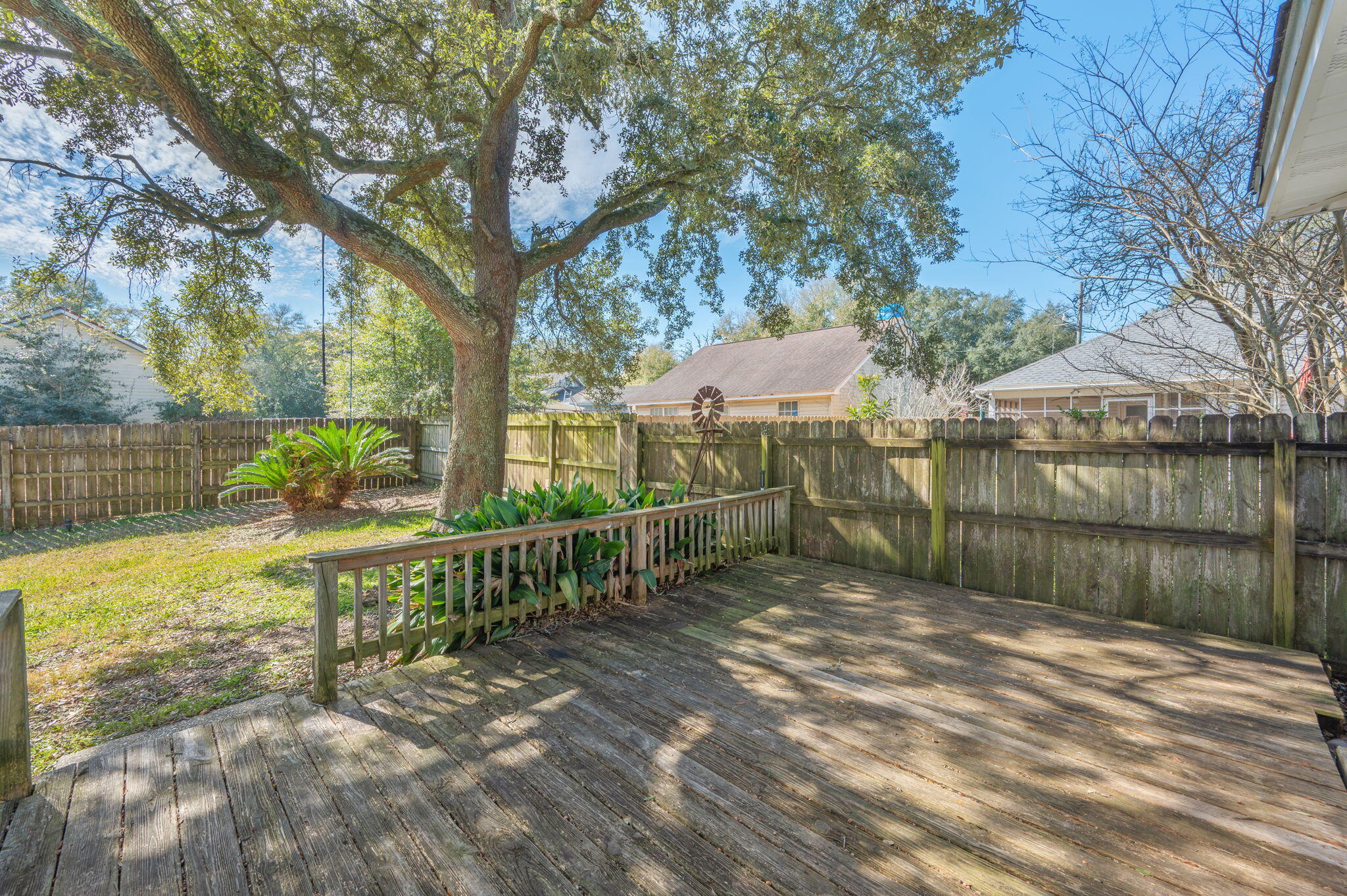 SUMMER TREE - Residential