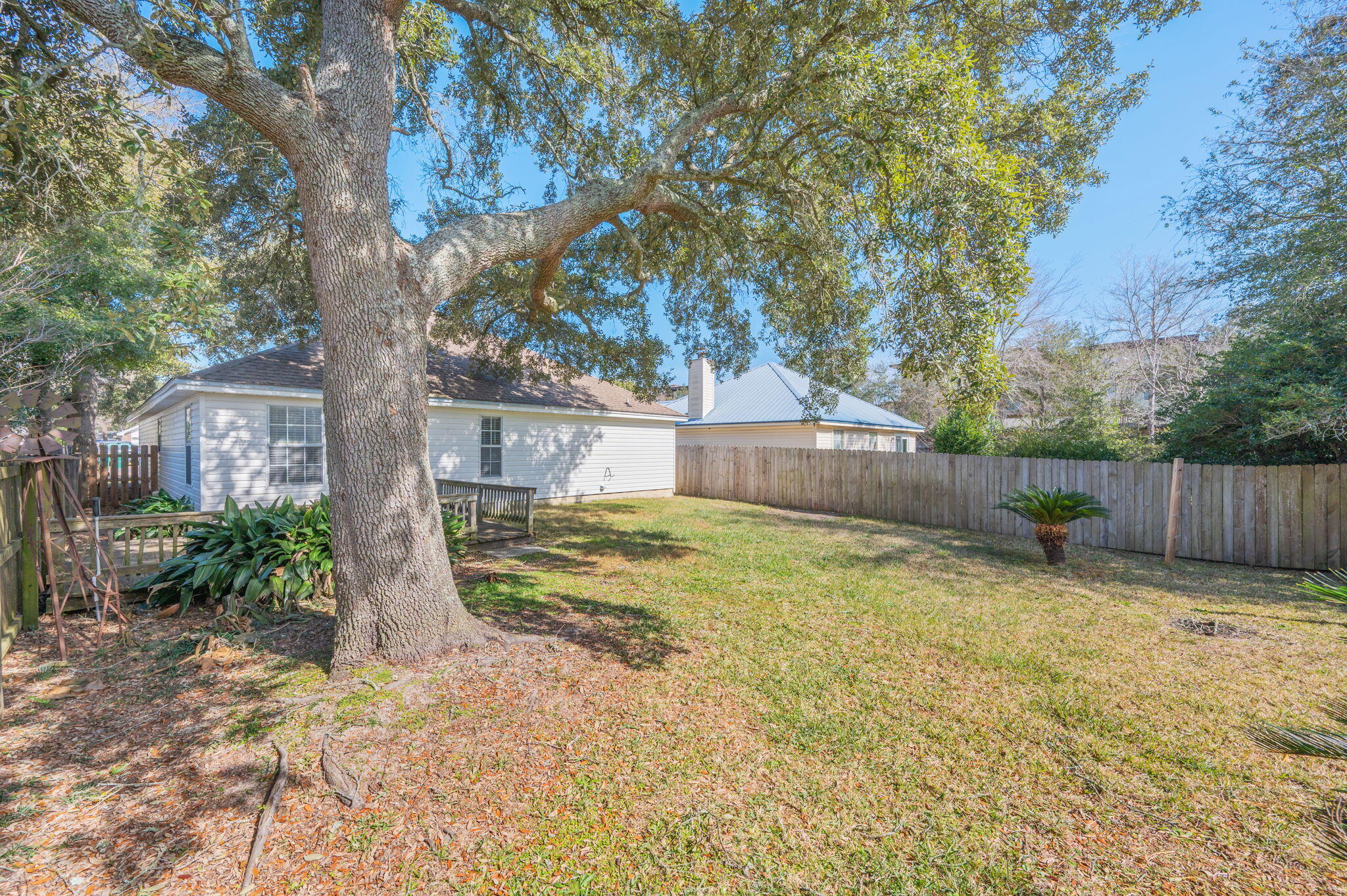 SUMMER TREE - Residential