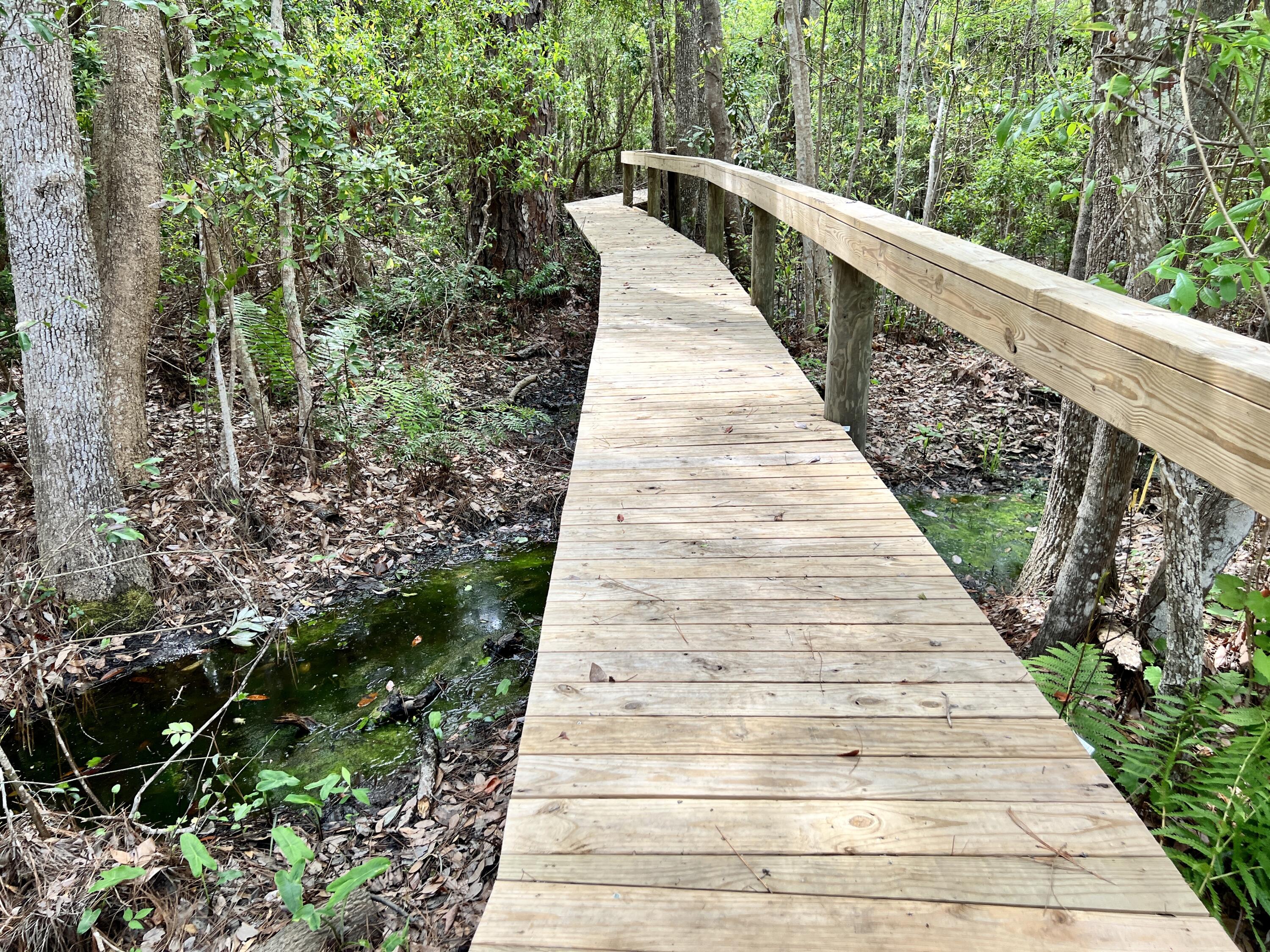 MUSSETT BAYOU ESTATES - Residential