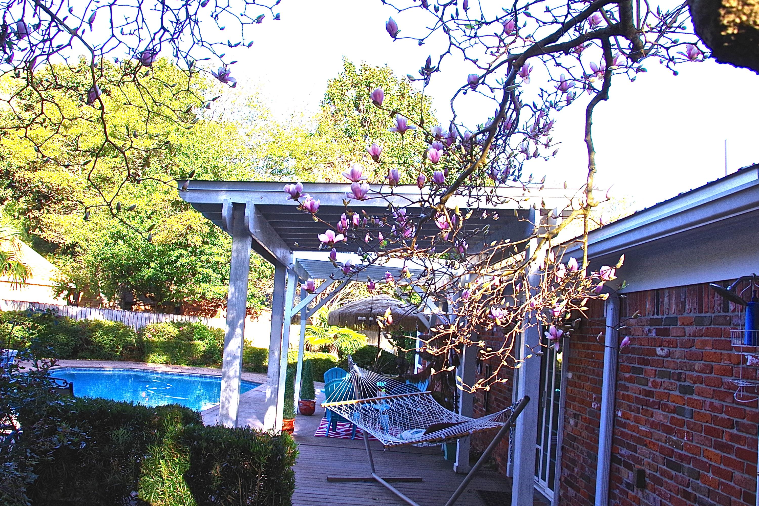 BAYOU POQUITO - Residential Lease
