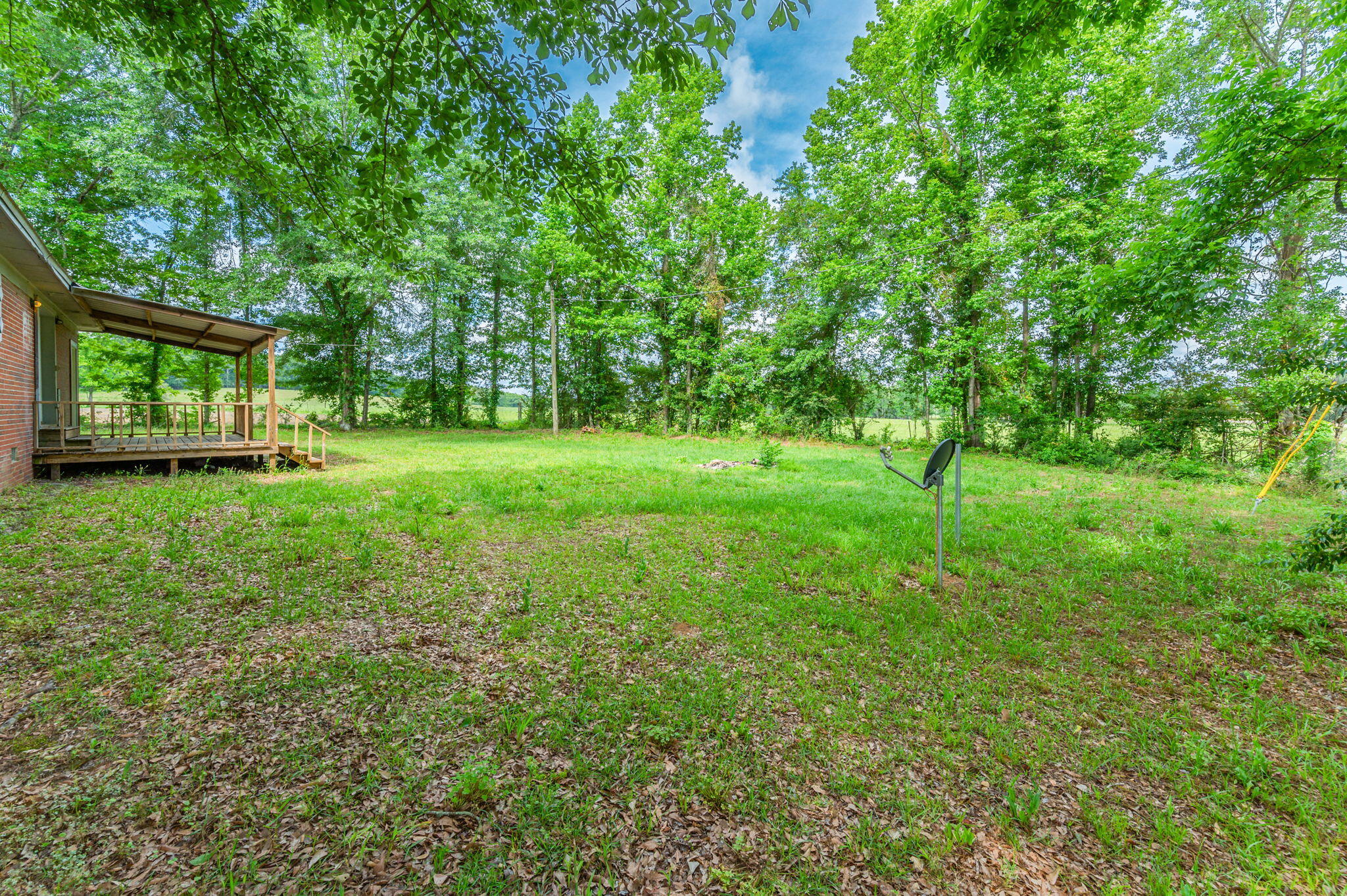 None - Residential Lease