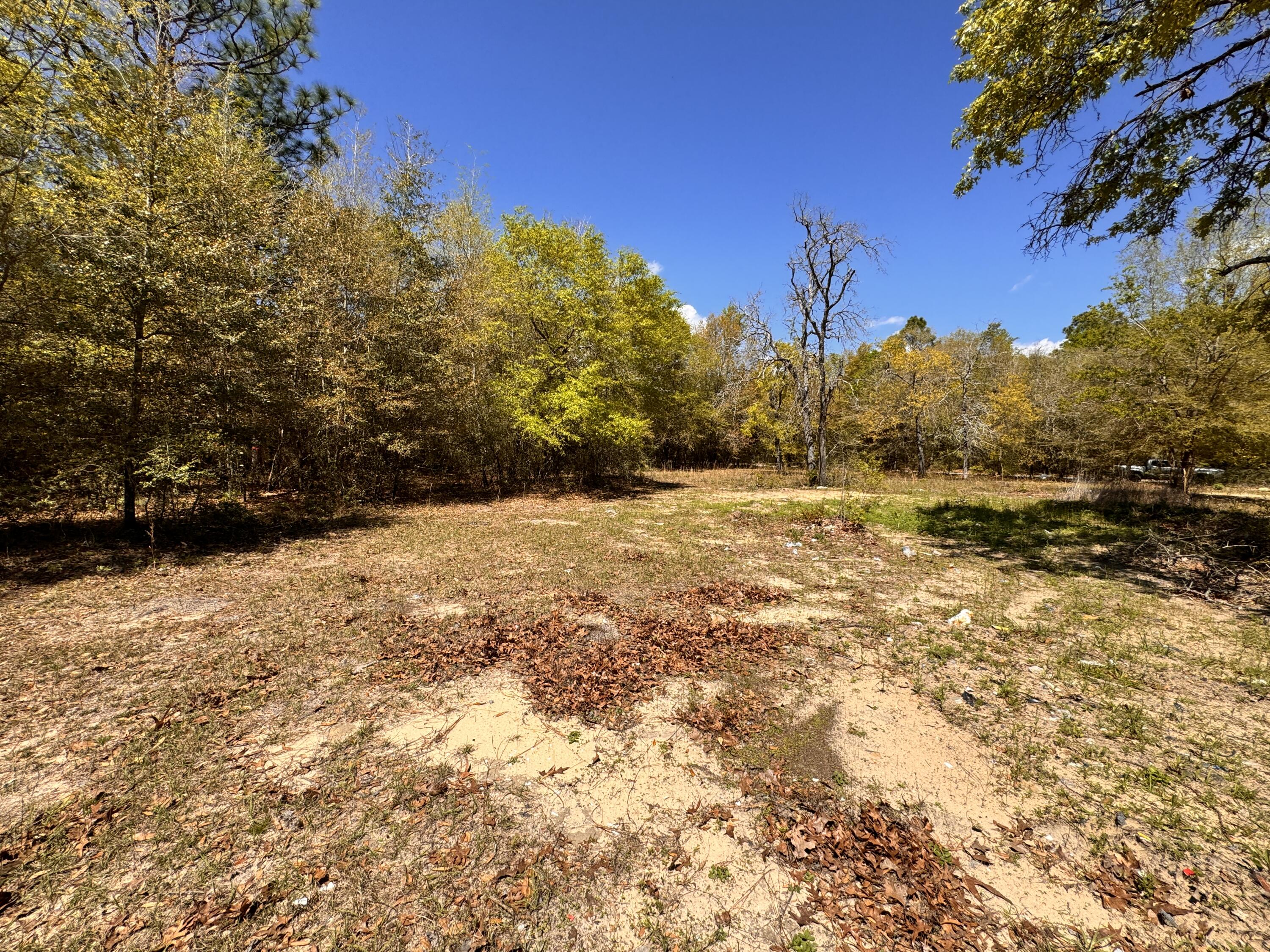 Hickory Hammock Estates - Land