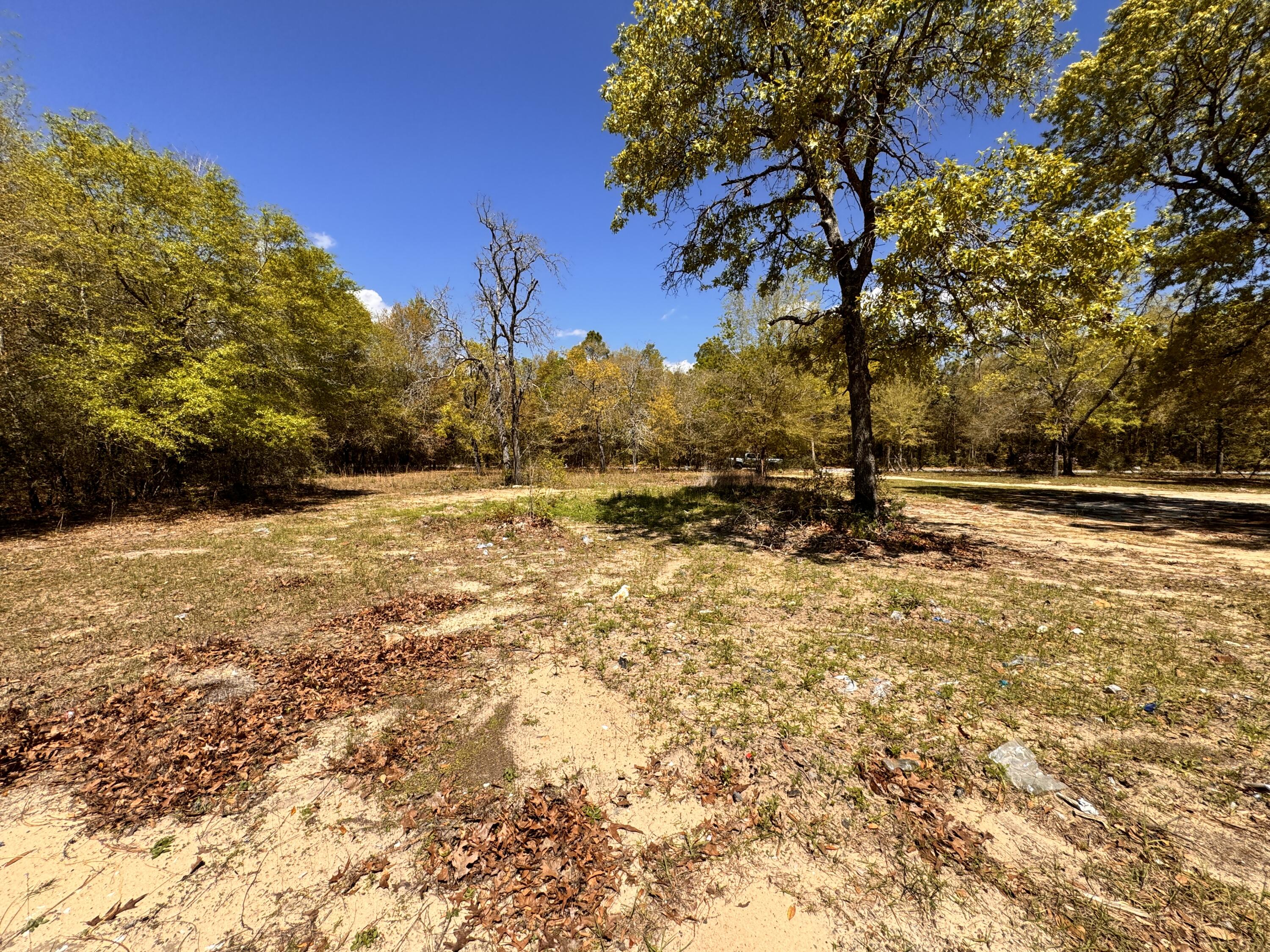Hickory Hammock Estates - Land