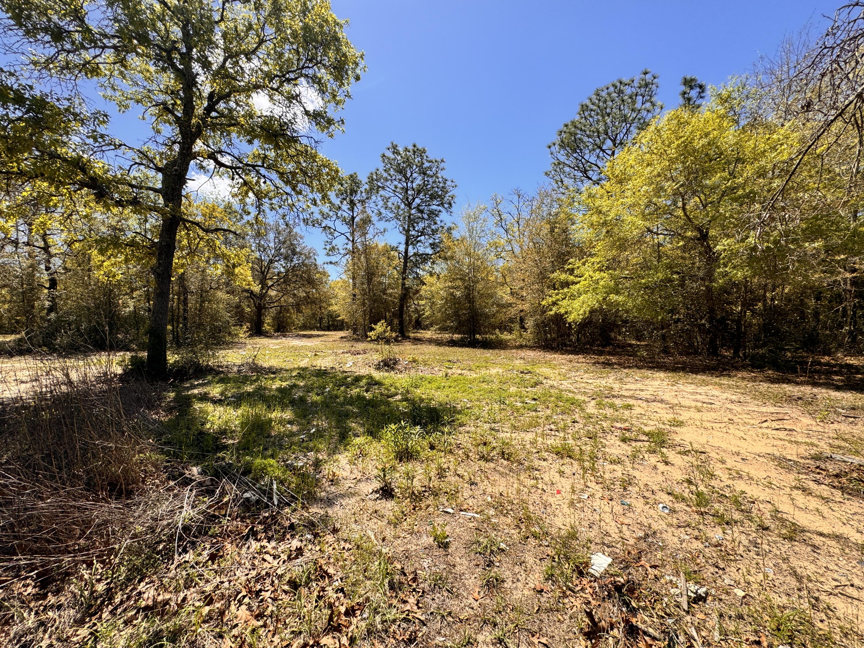 Hickory Hammock Estates - Land