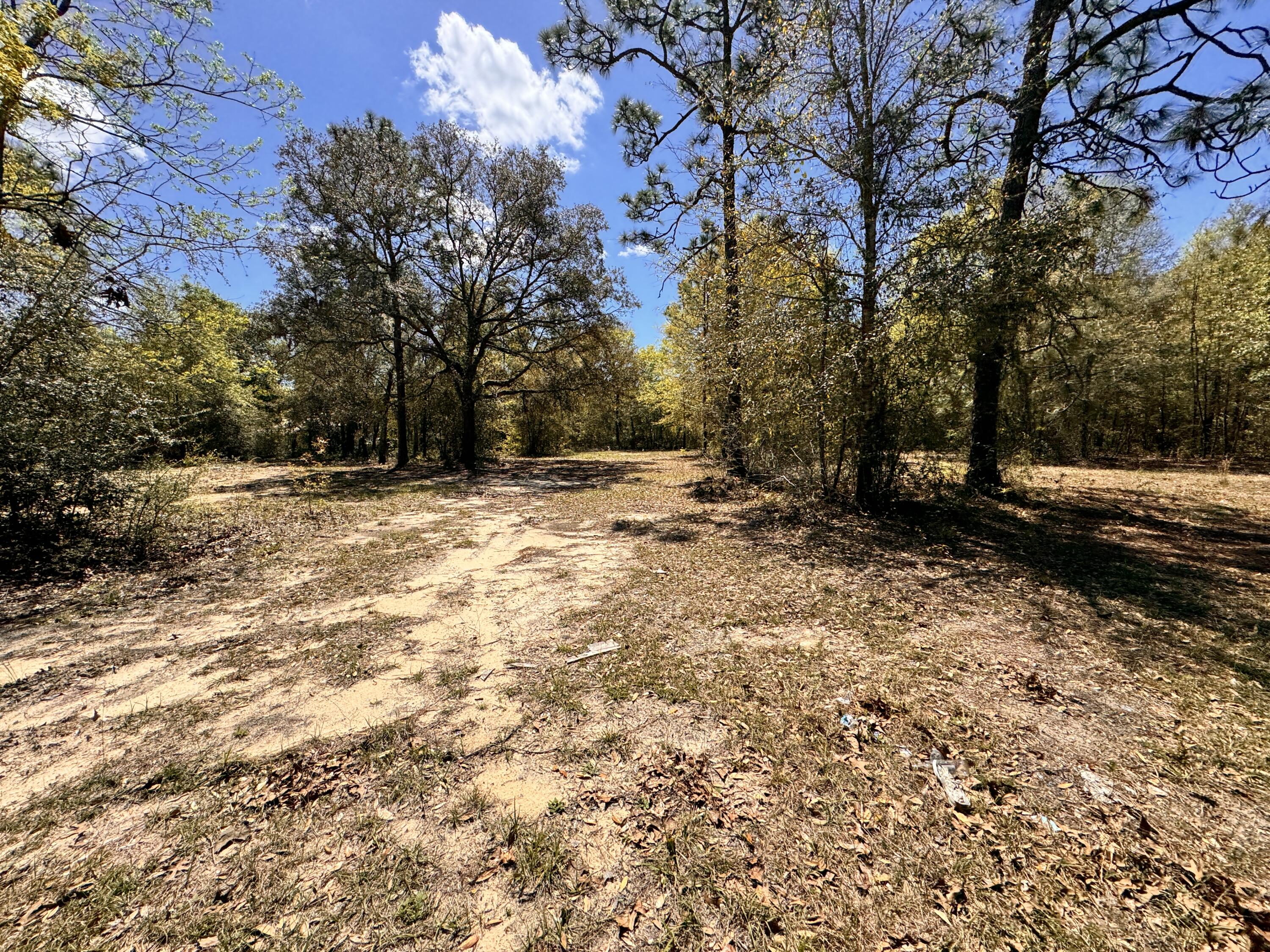Hickory Hammock Estates - Land