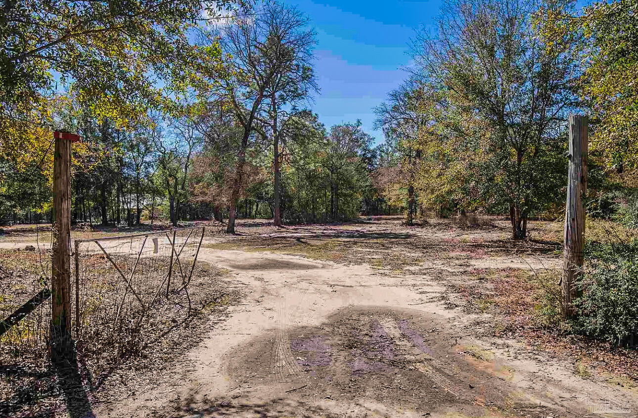 Hickory Hammock Estates - Land