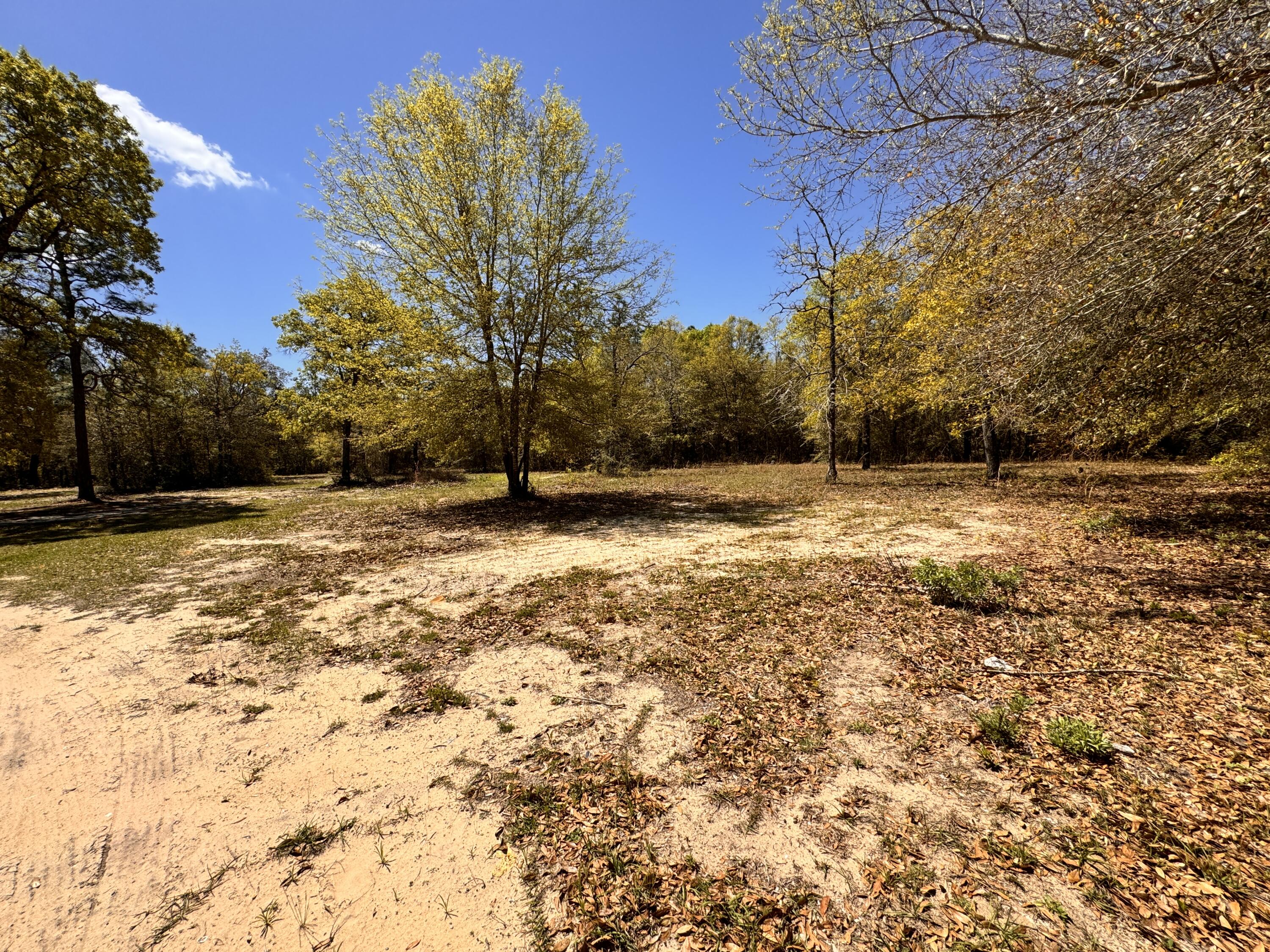 Hickory Hammock Estates - Land