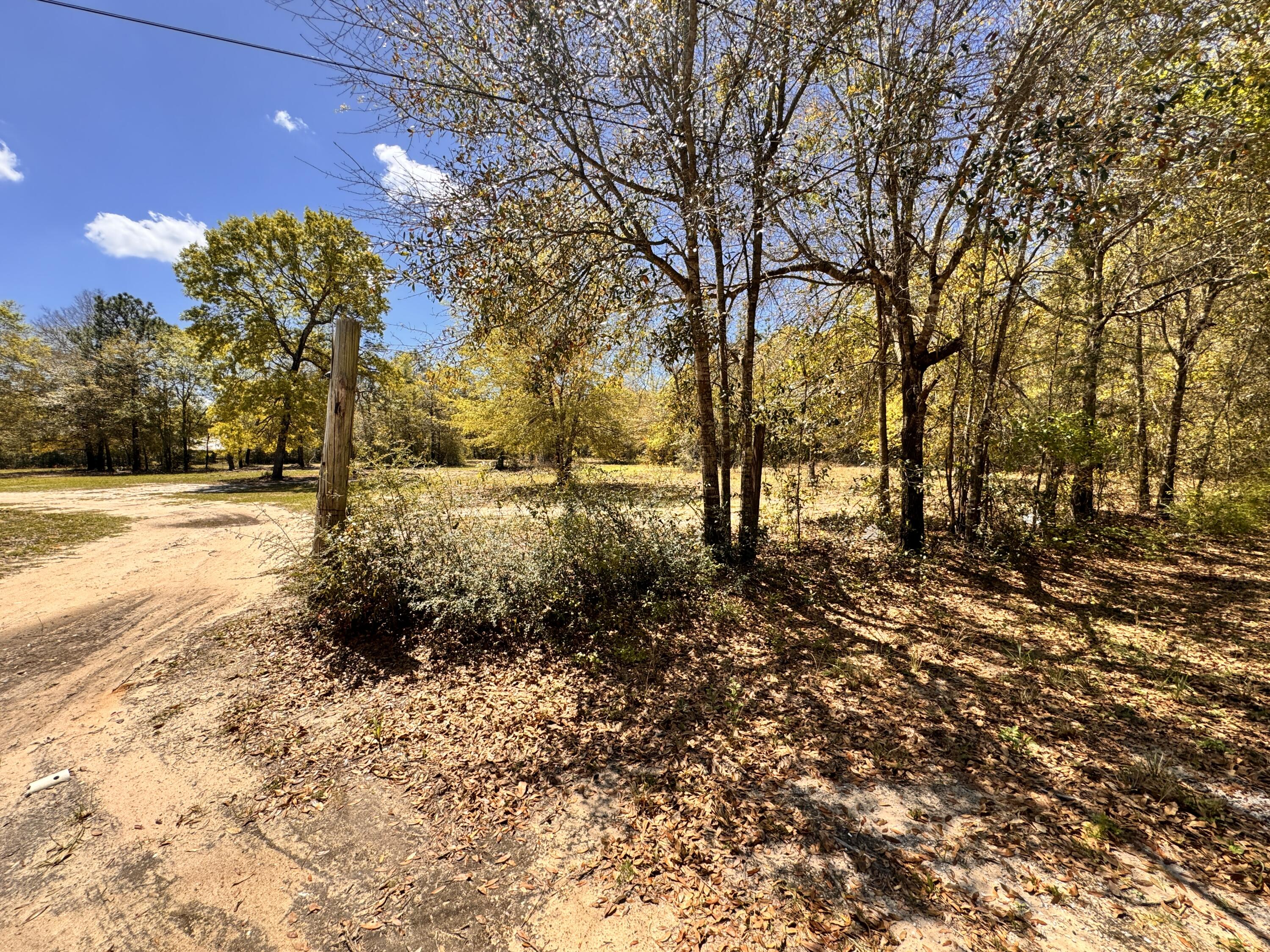 Hickory Hammock Estates - Land