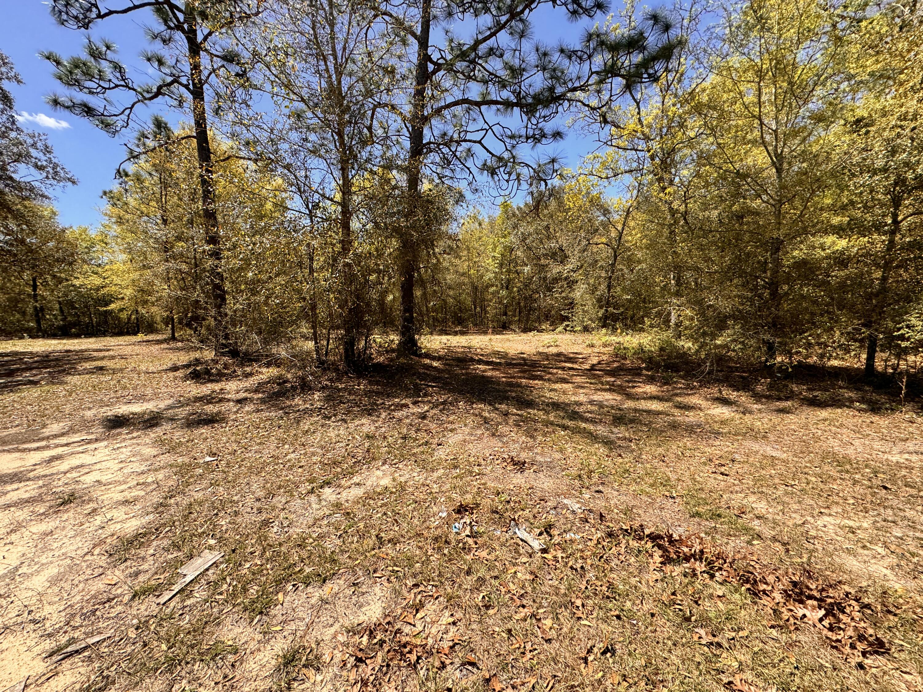 Hickory Hammock Estates - Land