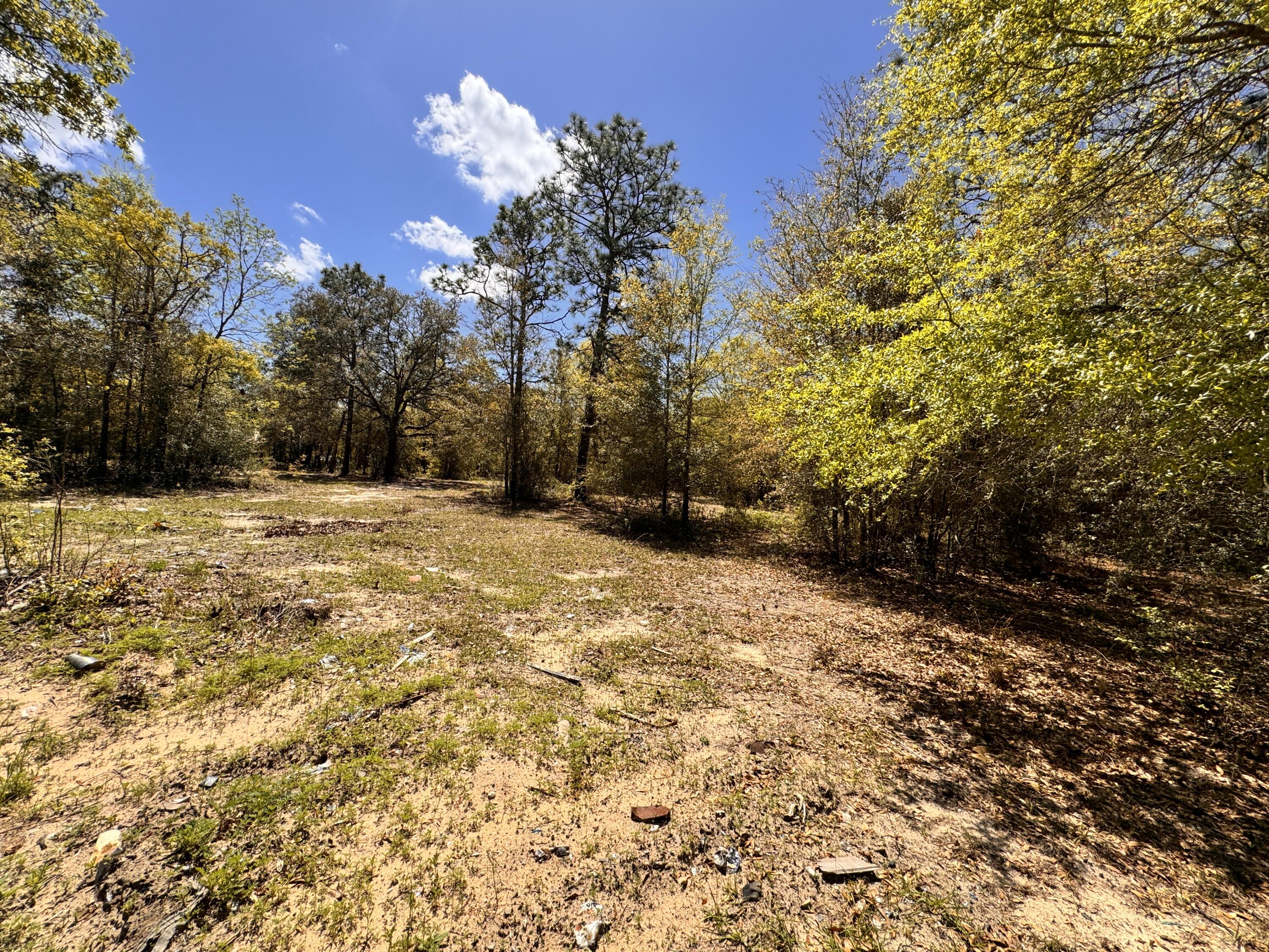 Hickory Hammock Estates - Land