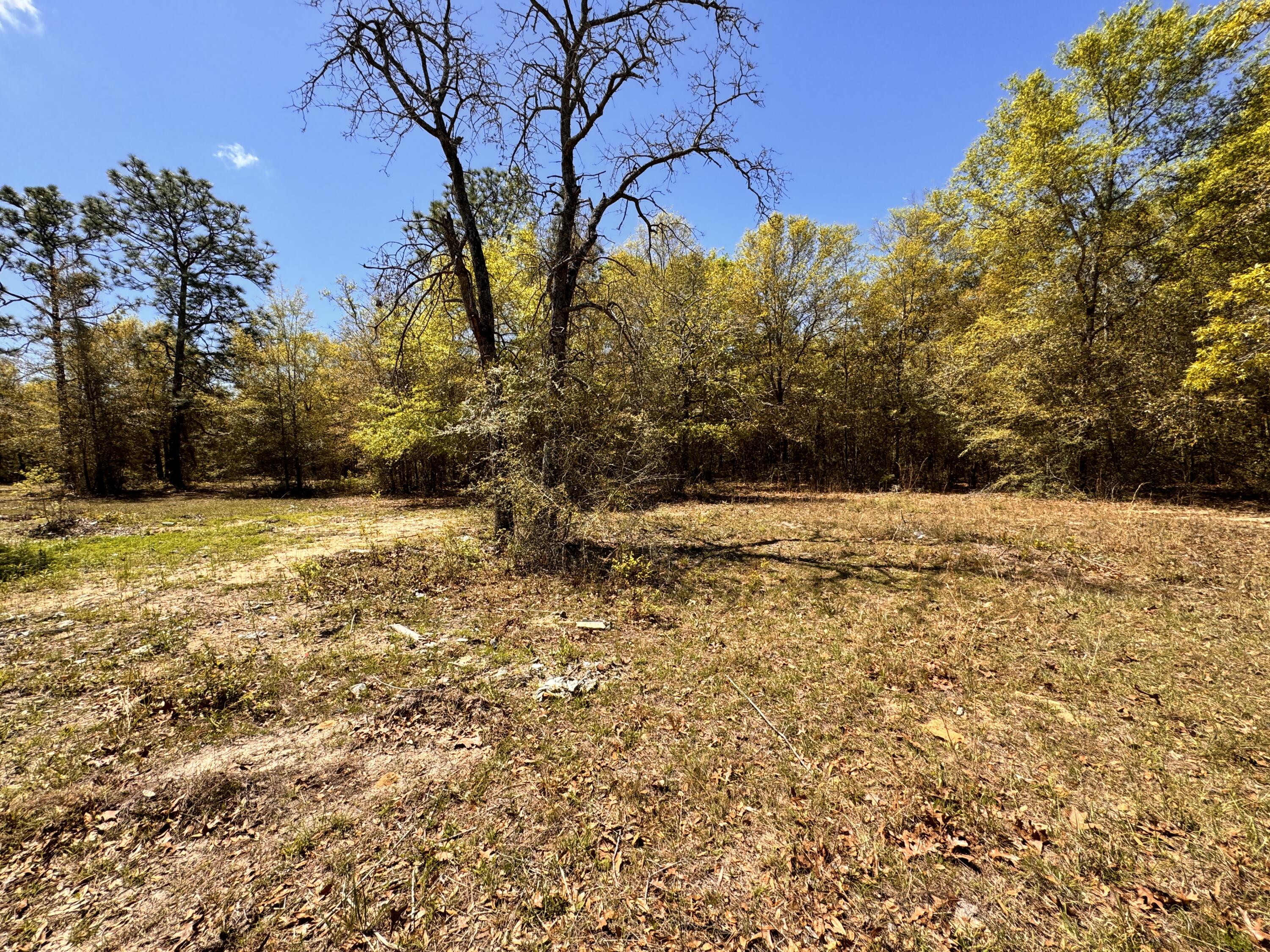 Hickory Hammock Estates - Land