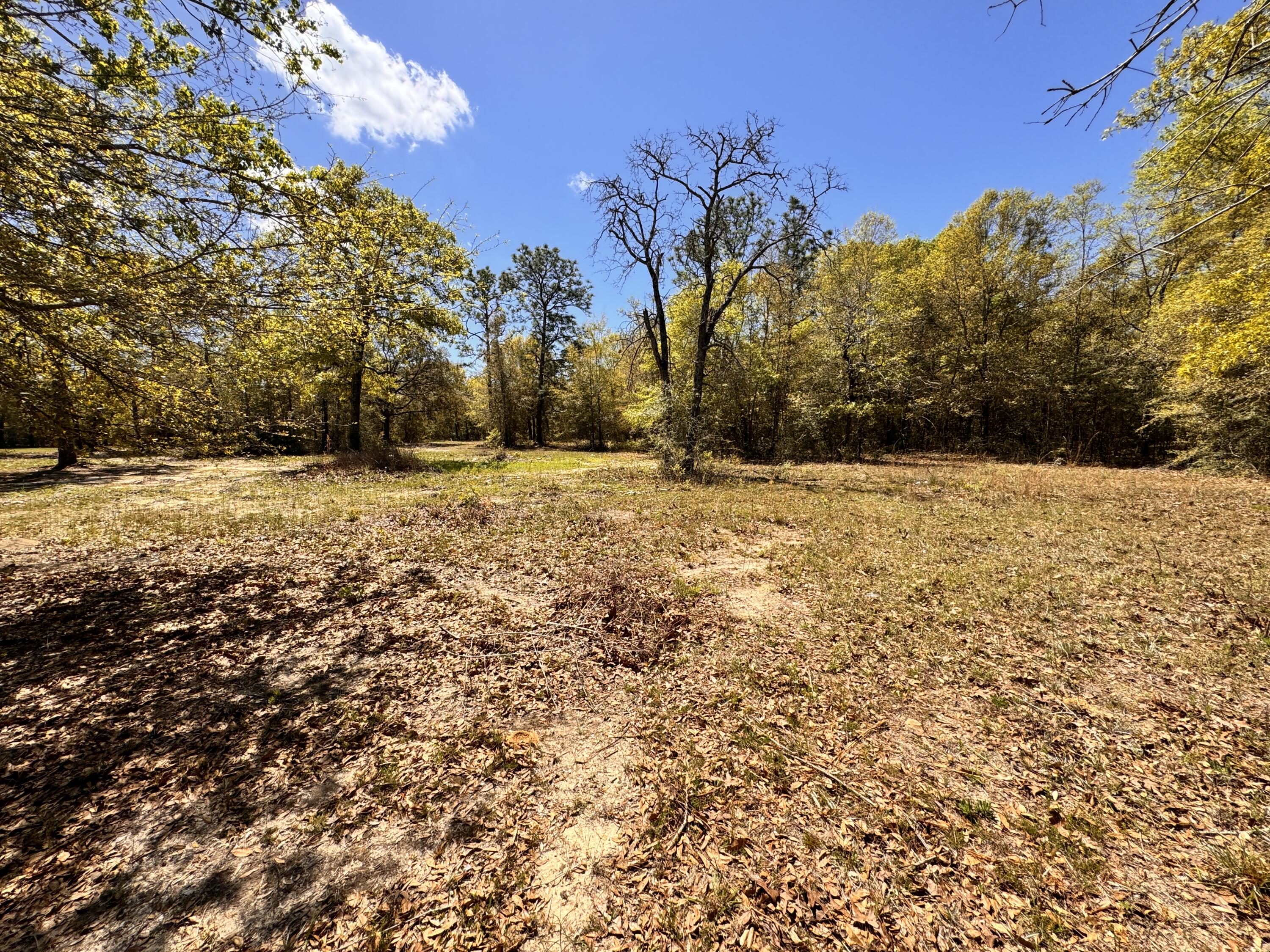 Hickory Hammock Estates - Land