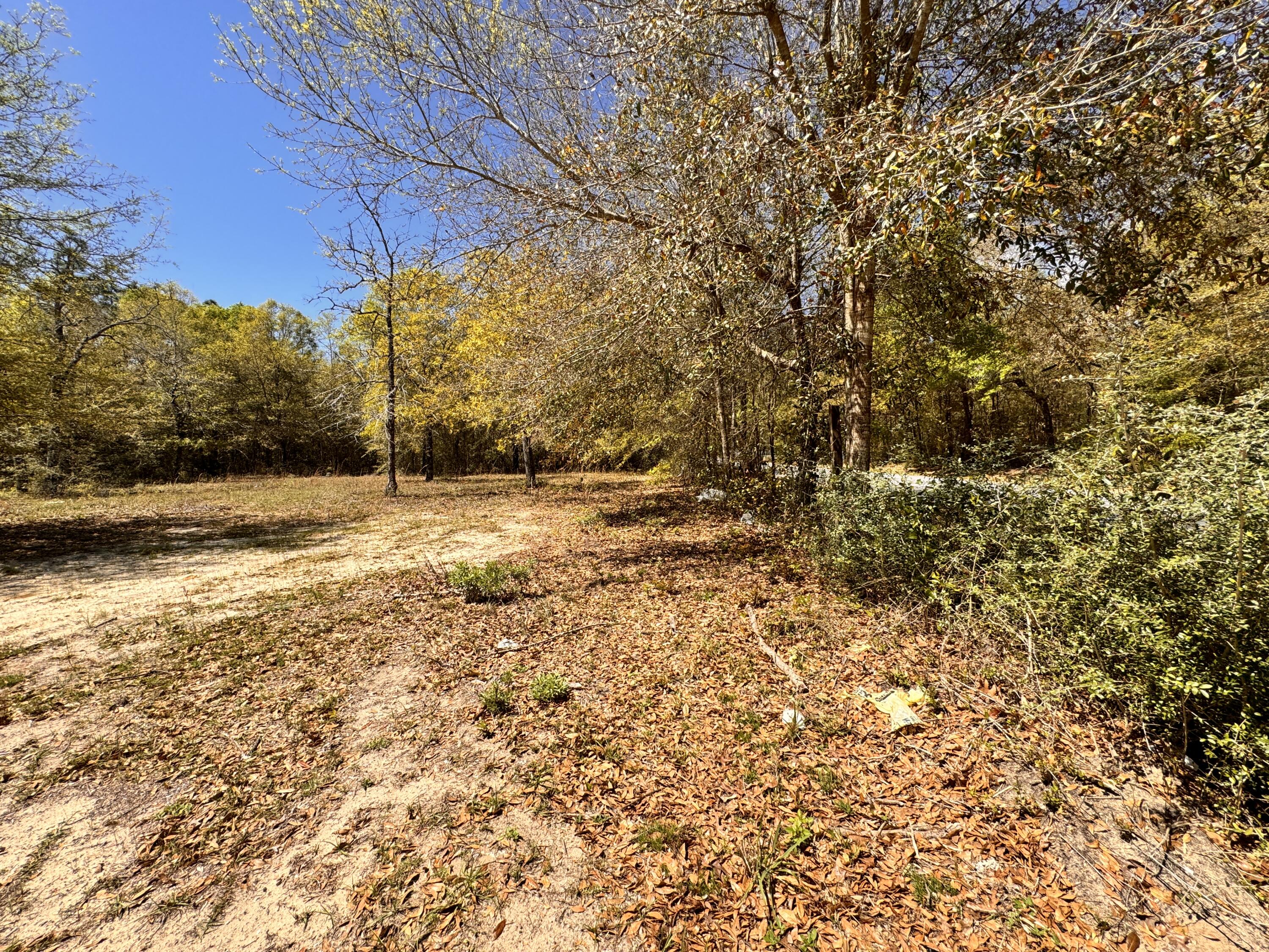 Hickory Hammock Estates - Land