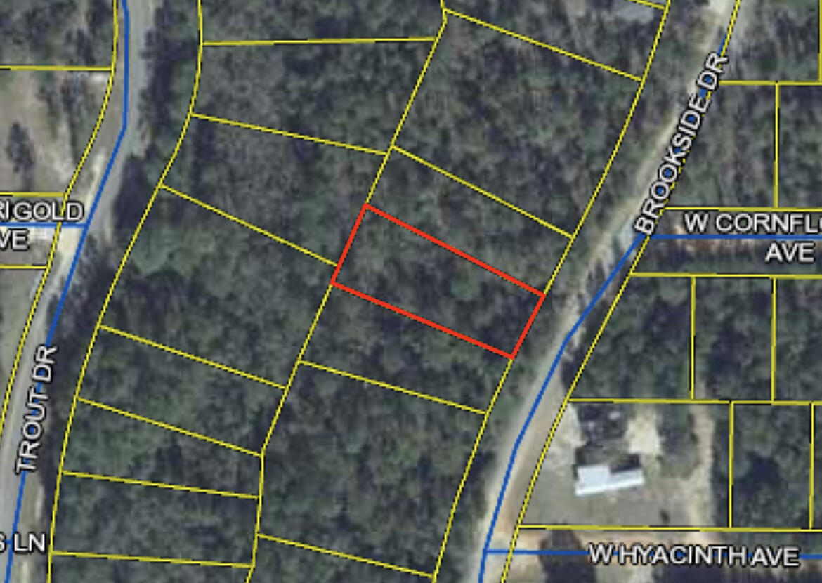 Awesome lot. Roughly 1/3 acre. Needs to be cleared.
