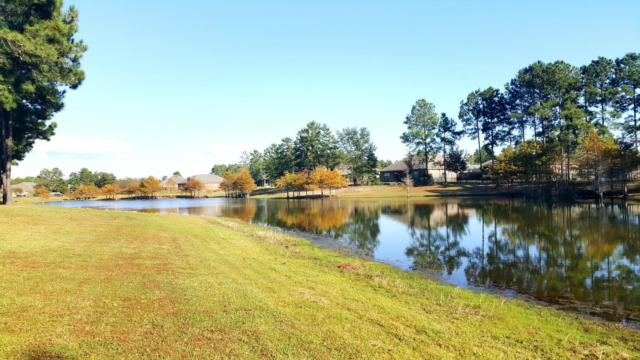 Hammock Bay - Residential