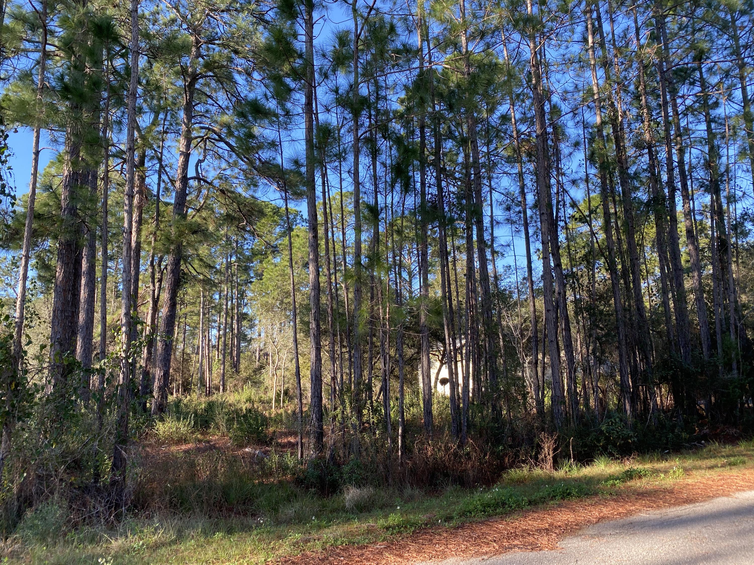 Beautiful level lot with a fantastic view. Survey, covenants, and additional information in the documents.