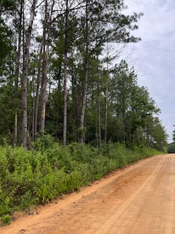 Spring Hill Farms S/D - Land