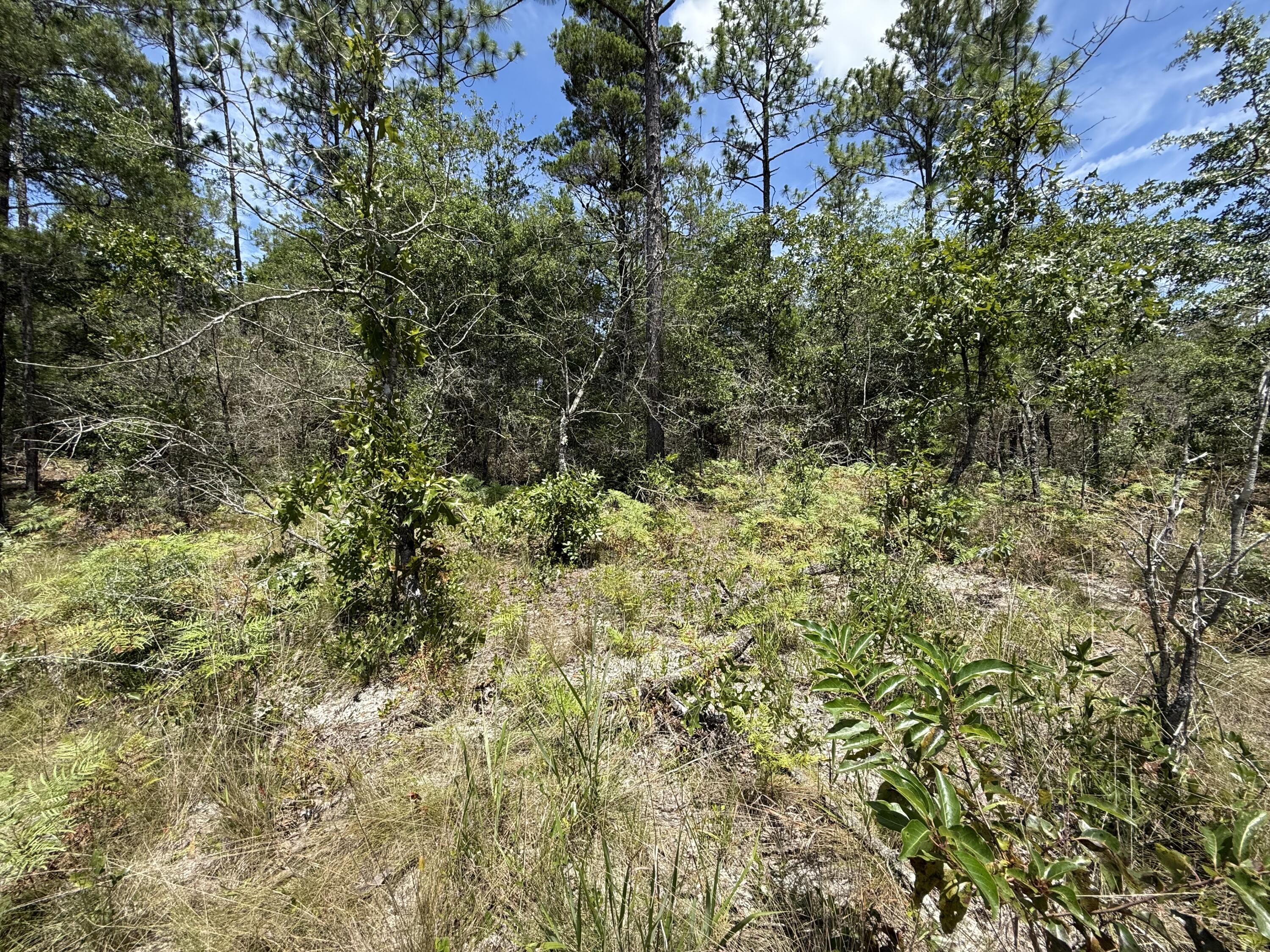 Oakwood Hills Unit I - Land