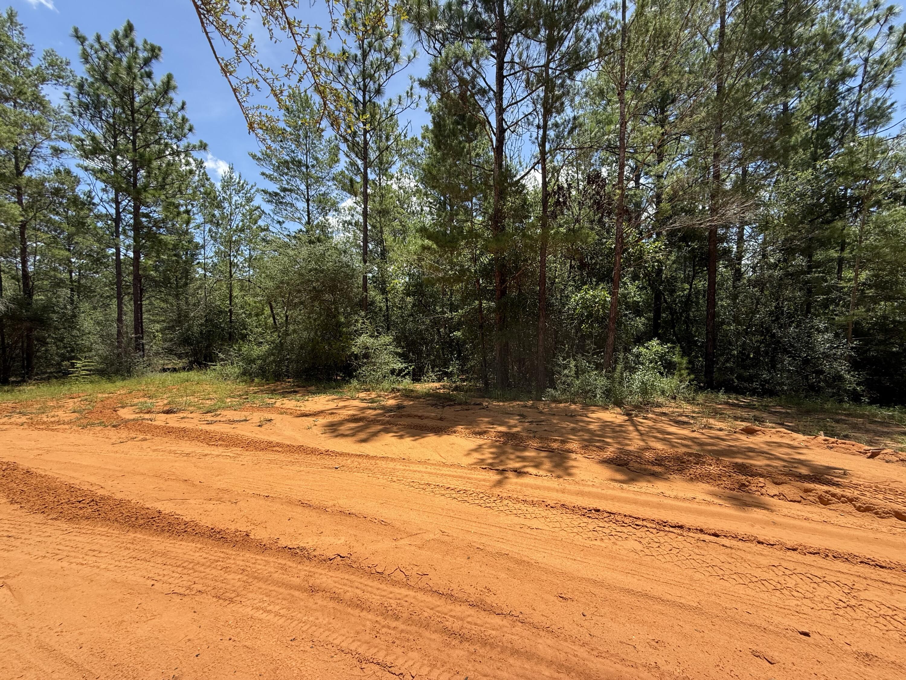 Nearly 1 acre of quiet tranquility. This is the kind of place where you can sit back, relax, and enjoy the serenity of a quiet, natural setting.  City water is available (tap fee unpaid), and a septic system would be required. This property is Flood zone X. Lot 39 (1/2acre) is available separately under MLS # 992612 .Enjoy easy access to I-10, making it n excellent location for commuting in any direction, with most workplaces reachable within approximately 30-45 minutes. Plus, you're approximately 35 miles from the beautiful turquoise water & white-sand beaches of Florida's famous Emerald Gulf Coast, including 30A and the majestic Crab Island.

Buyer needs to verify building codes, zoning regulations, wetlands and flood zones, etc with proper local authorities to ensure buyer will be able to utilize the property for intended use.
Information contained within this listing is deemed to be accurate, but is not guaranteed.