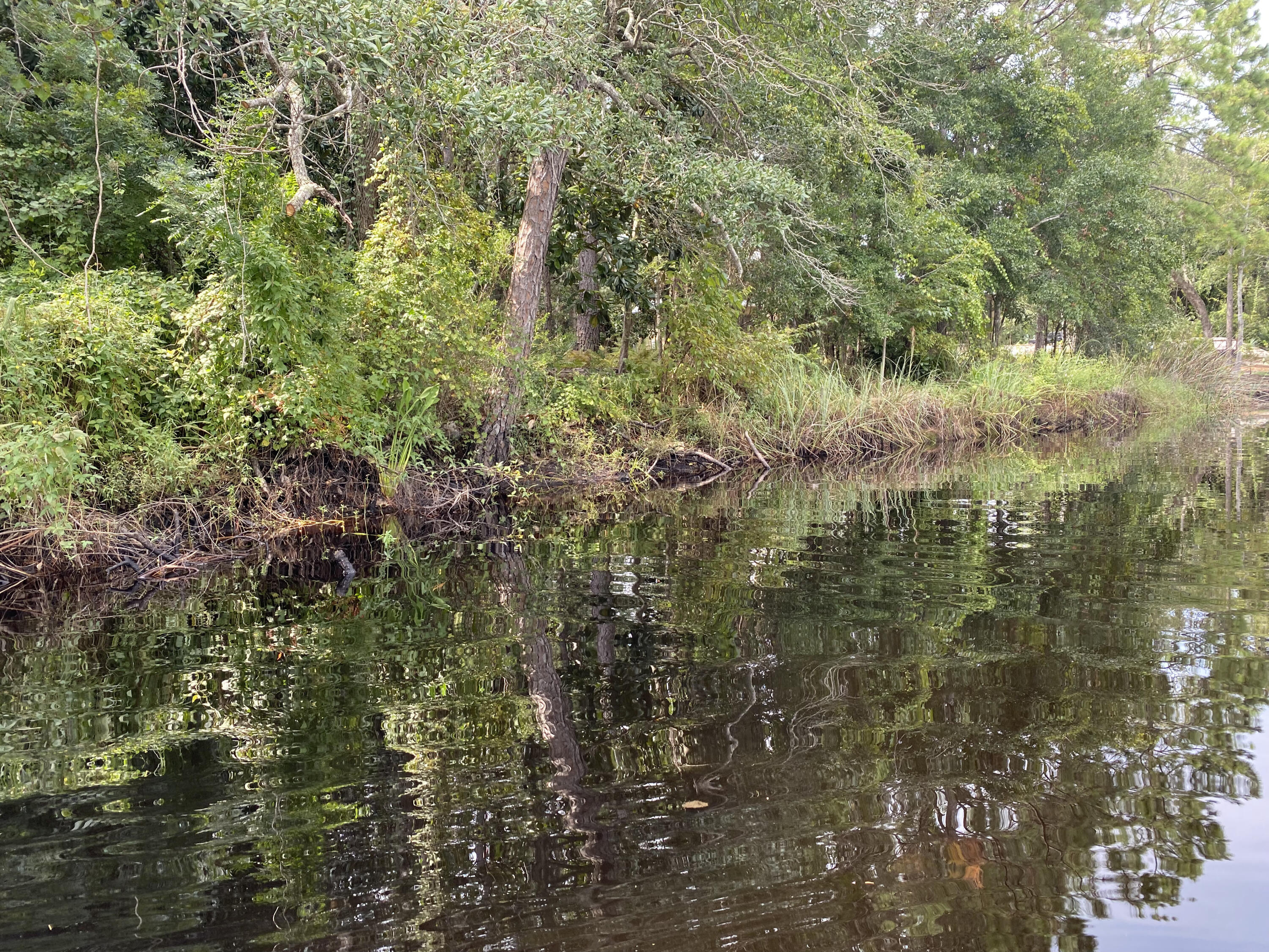This is a rare opportunity to own a  
Grayton Beach lakefront lot. This beautiful old growth wooded lot has 130 feet on Western Lake. It is located on private Grayton Trails Road with access limited to owners.  Within walking distance to restaurants, shops and the beach.
