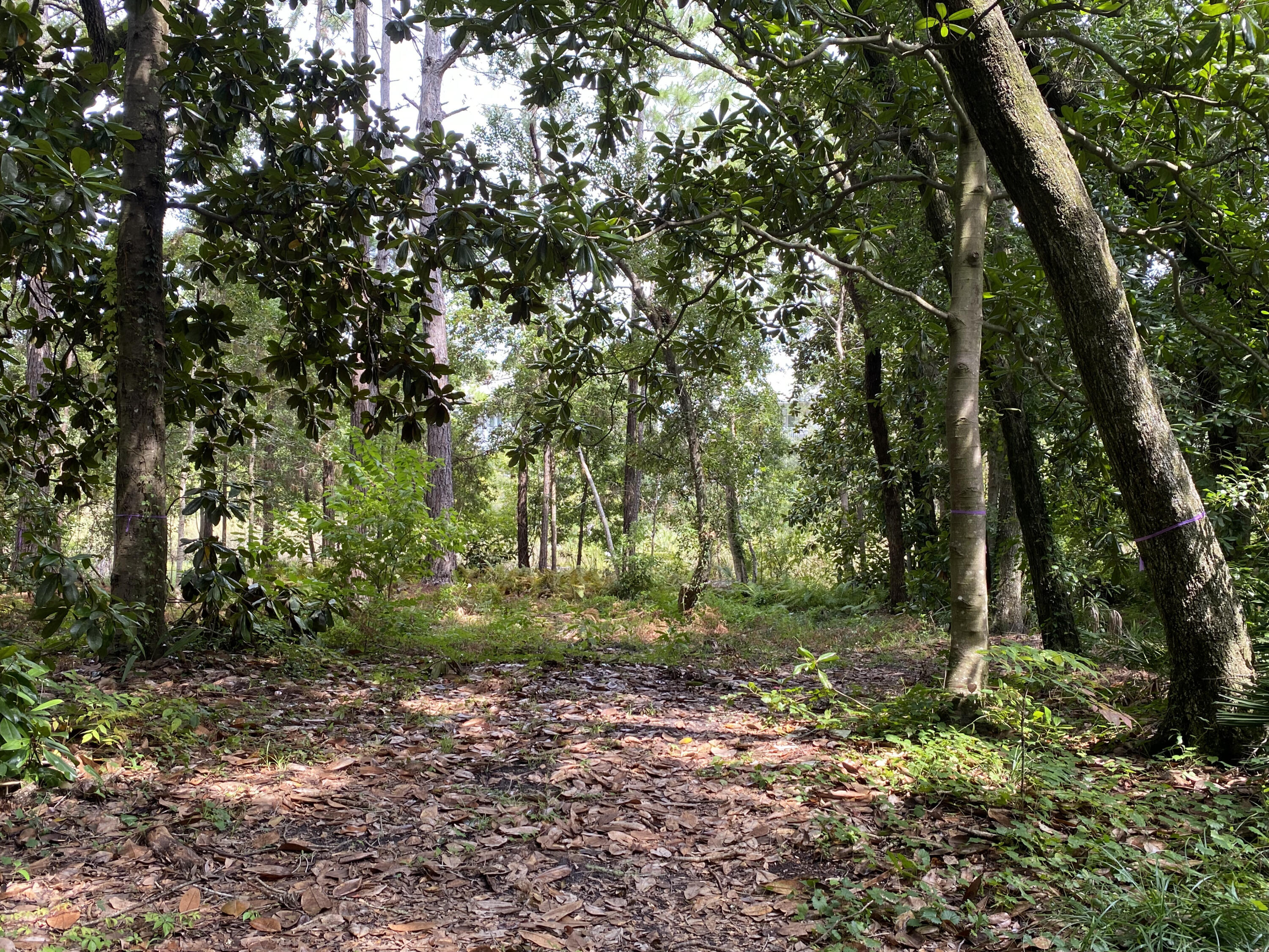 GRAYTON BEACH - Land