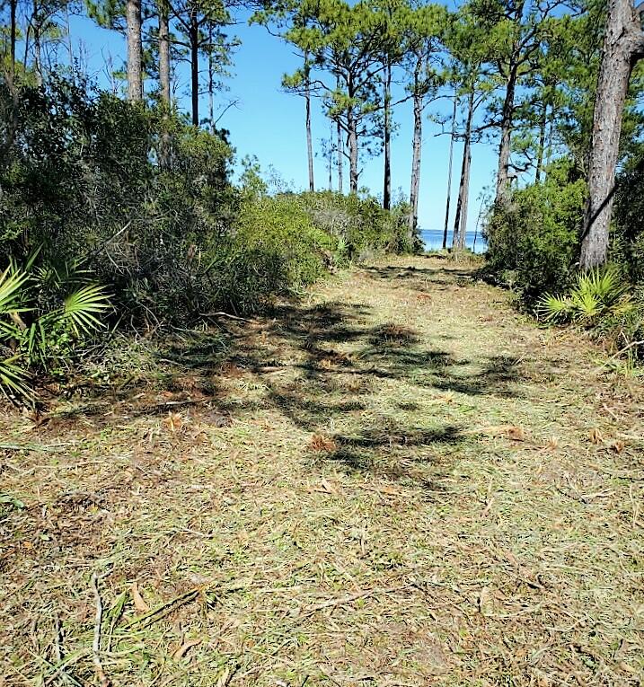 One of Last bay front lots. Fantastic bay views with sunrise  over the Choctawhatchee Bay! Almost a full acre. There is a nice wide path, just cleared, from Driftwood Point Road to the waterfront! Check out this prime homesite. 
Have  environmental study and survey available. 

*** Application for Seawall and dock permit has been submitted. Should be ok'd  soon.  Owner is including  permits  for  seawall and   a dock with covered boat area.
The permits are in process and  will transfer with sale .