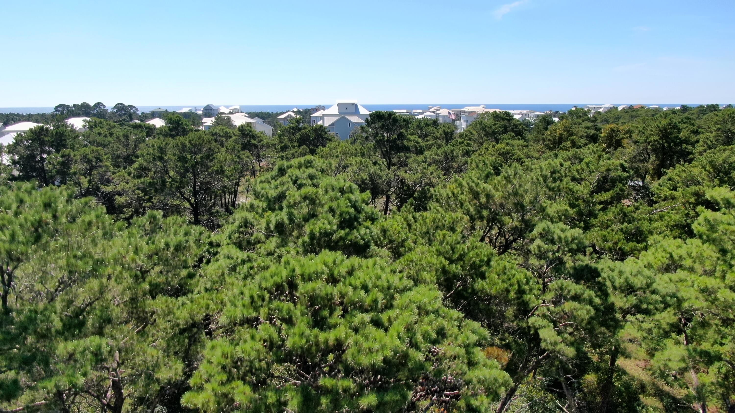 PALM ROAD ESTATES - Land