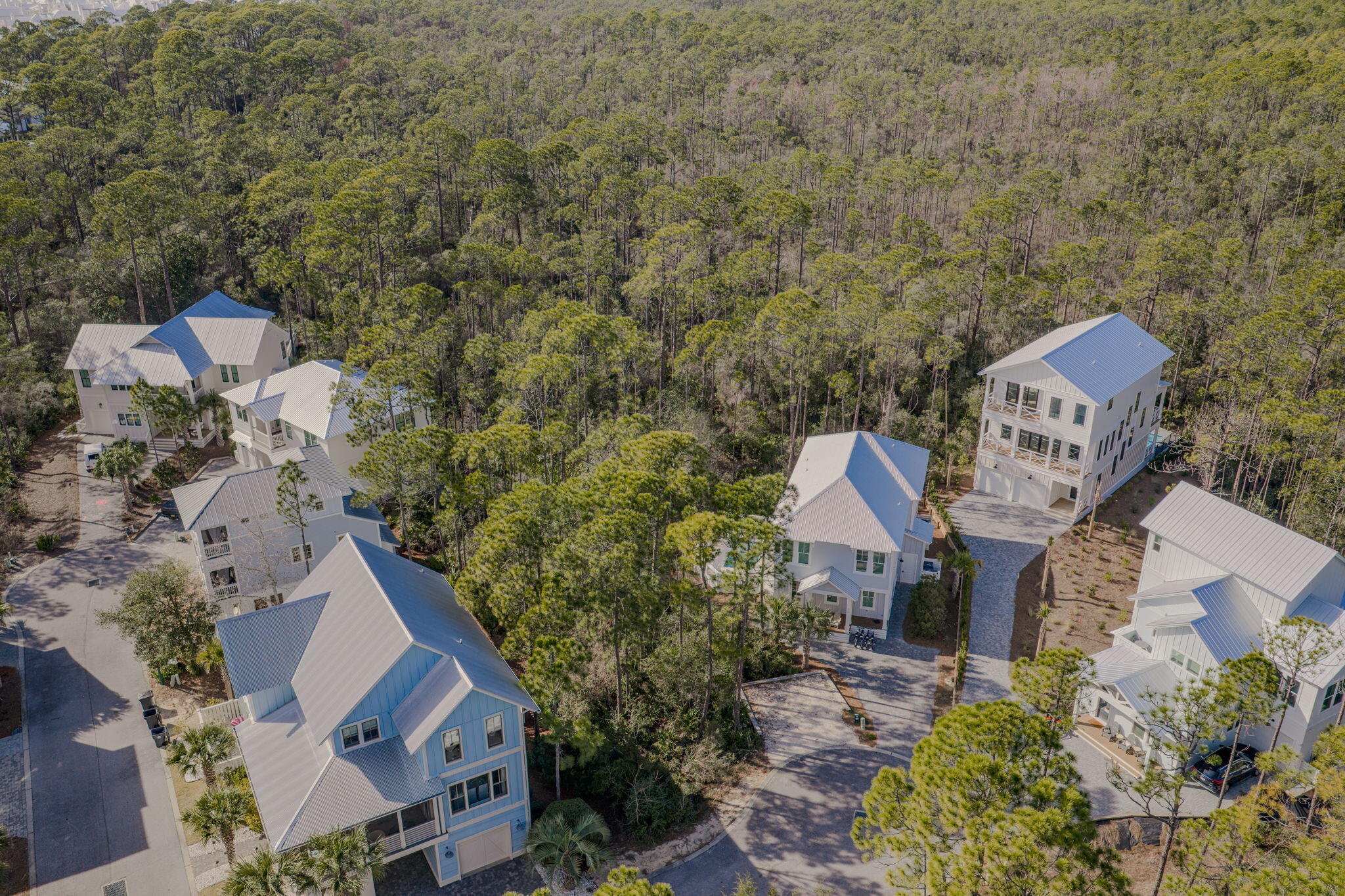 TREETOP - Land